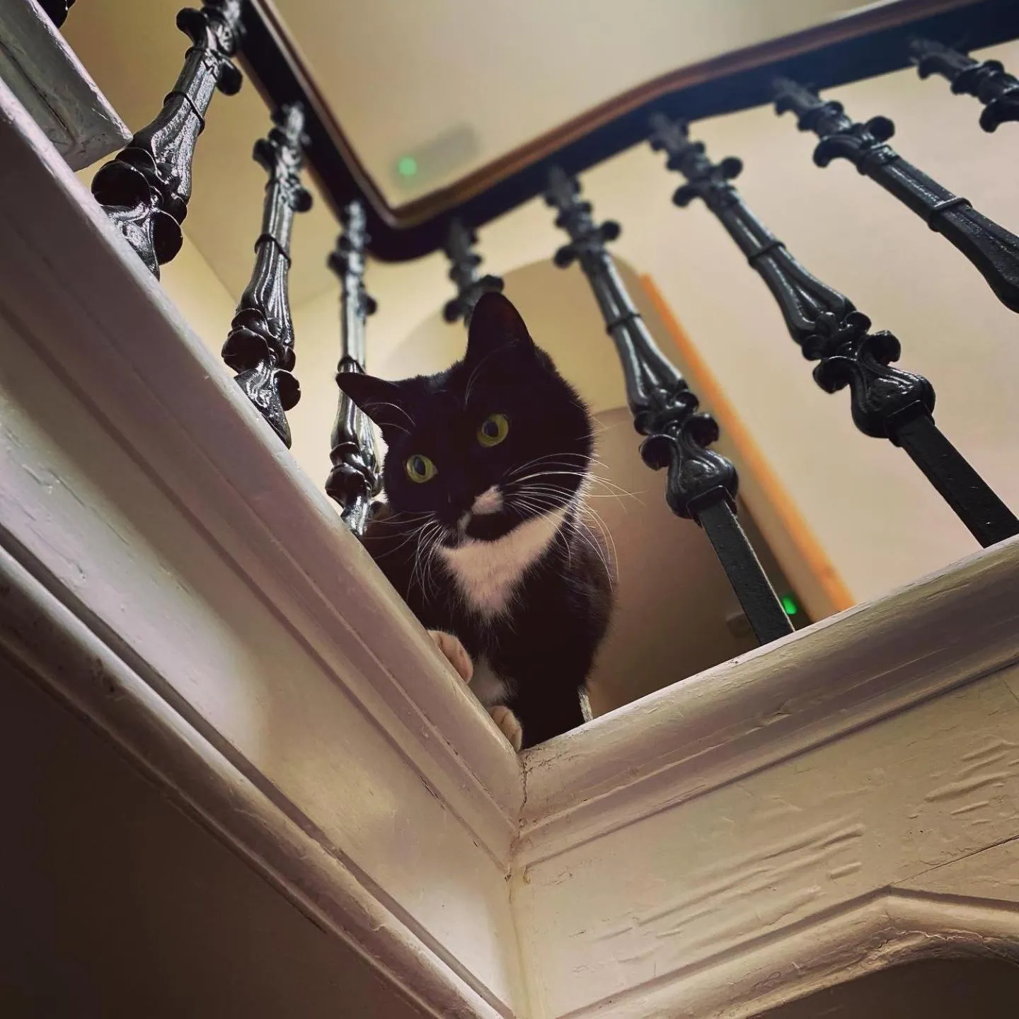 Property building in The Gordon Arms Restaurant with Rooms