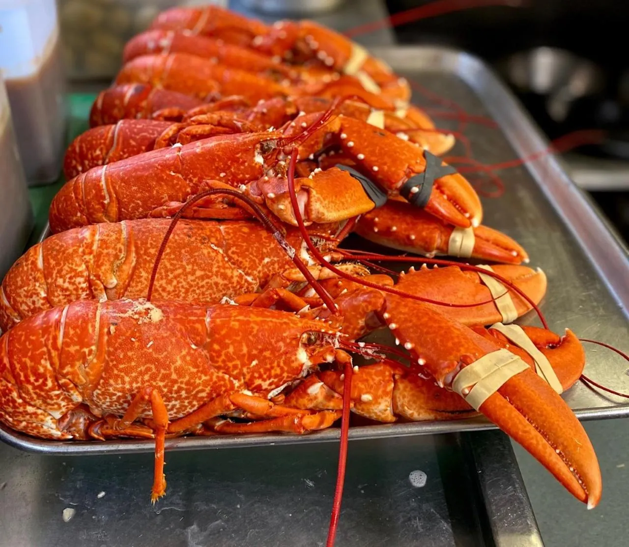 Restaurant/places to eat in The Gordon Arms Restaurant with Rooms