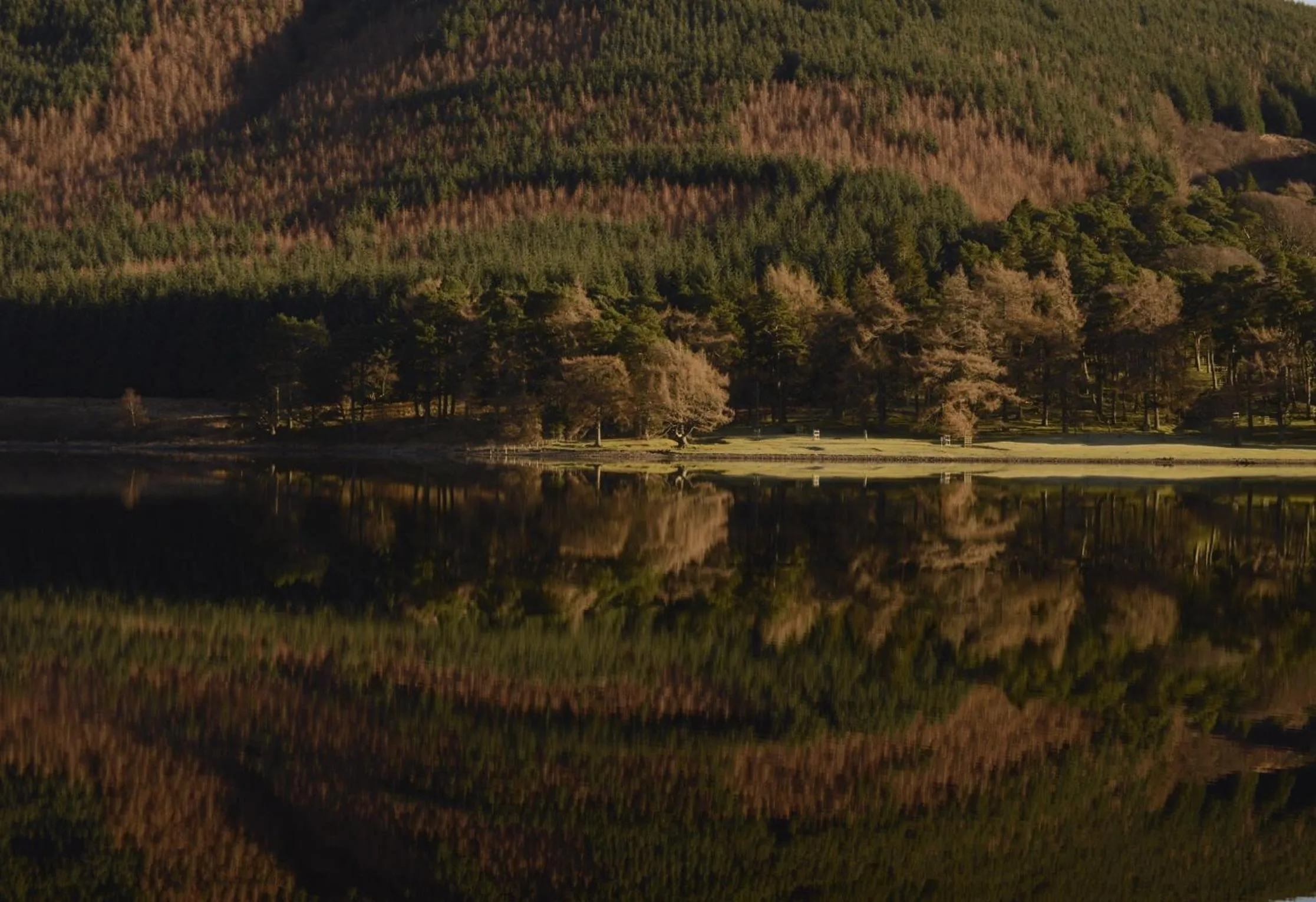 Natural landscape in The Gordon Arms Restaurant with Rooms