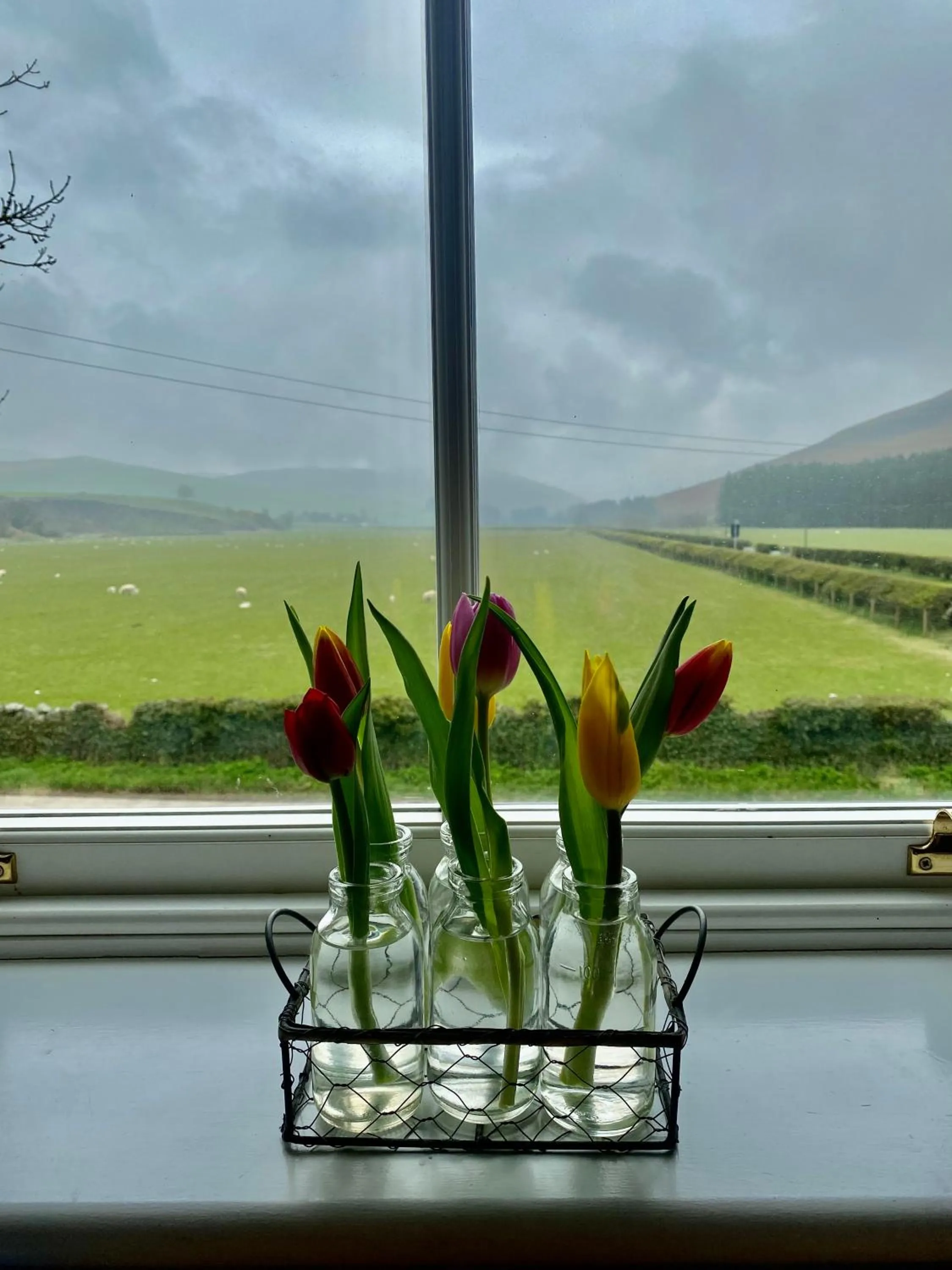Natural landscape in The Gordon Arms Restaurant with Rooms