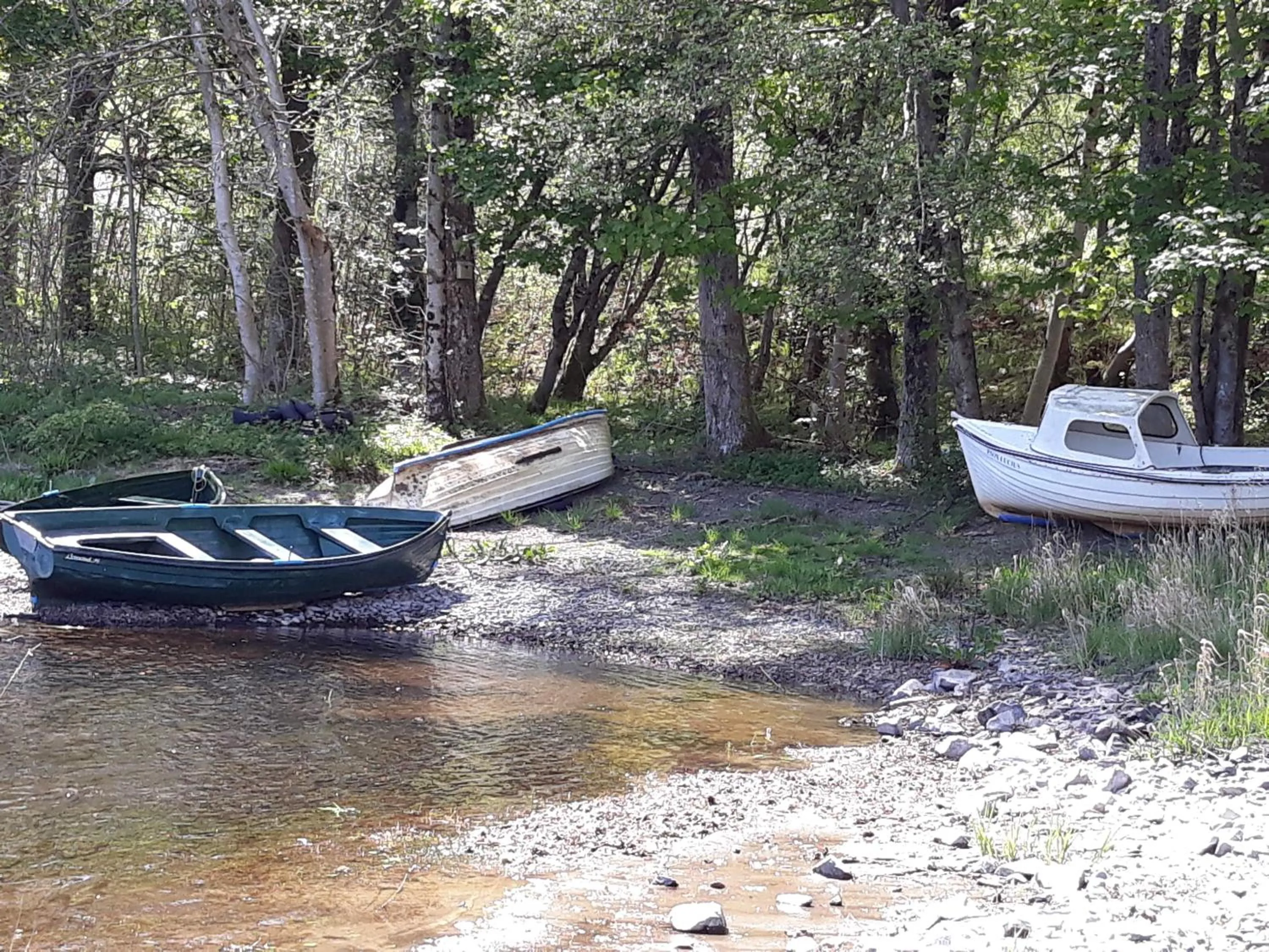Natural landscape in The Gordon Arms Restaurant with Rooms