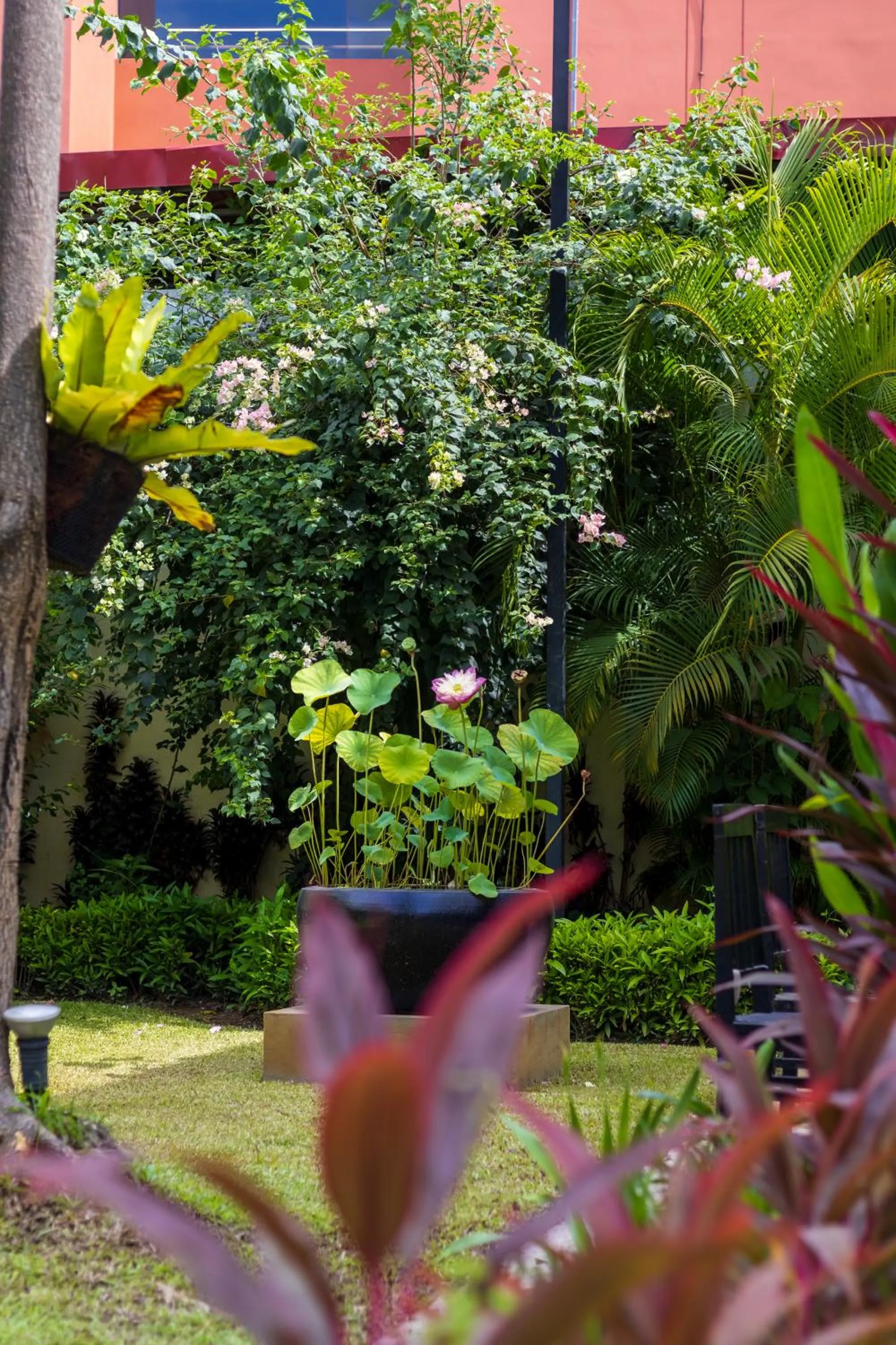 Garden view in Sala Siem Reap Hotel
