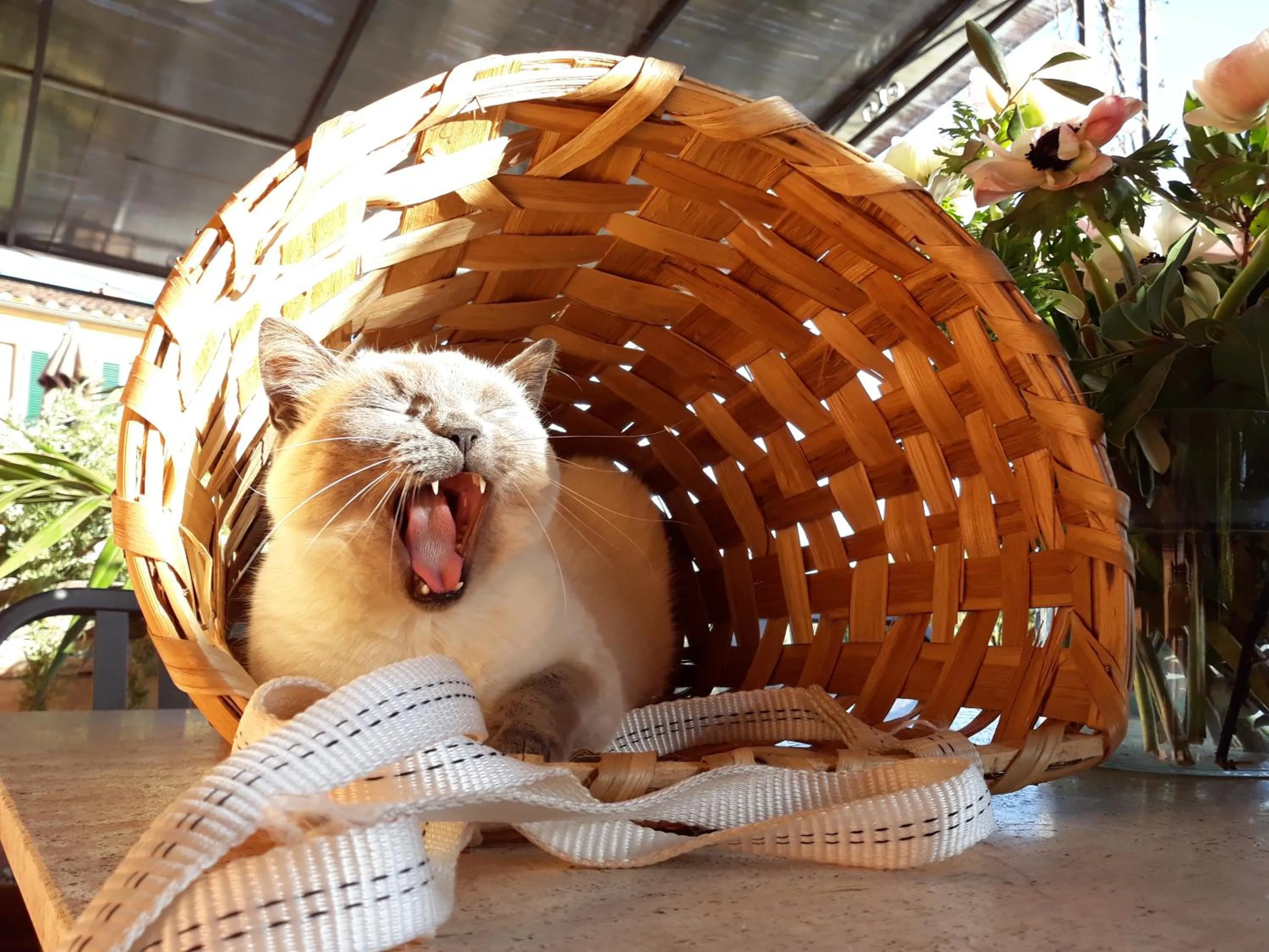 La Torre wine resort