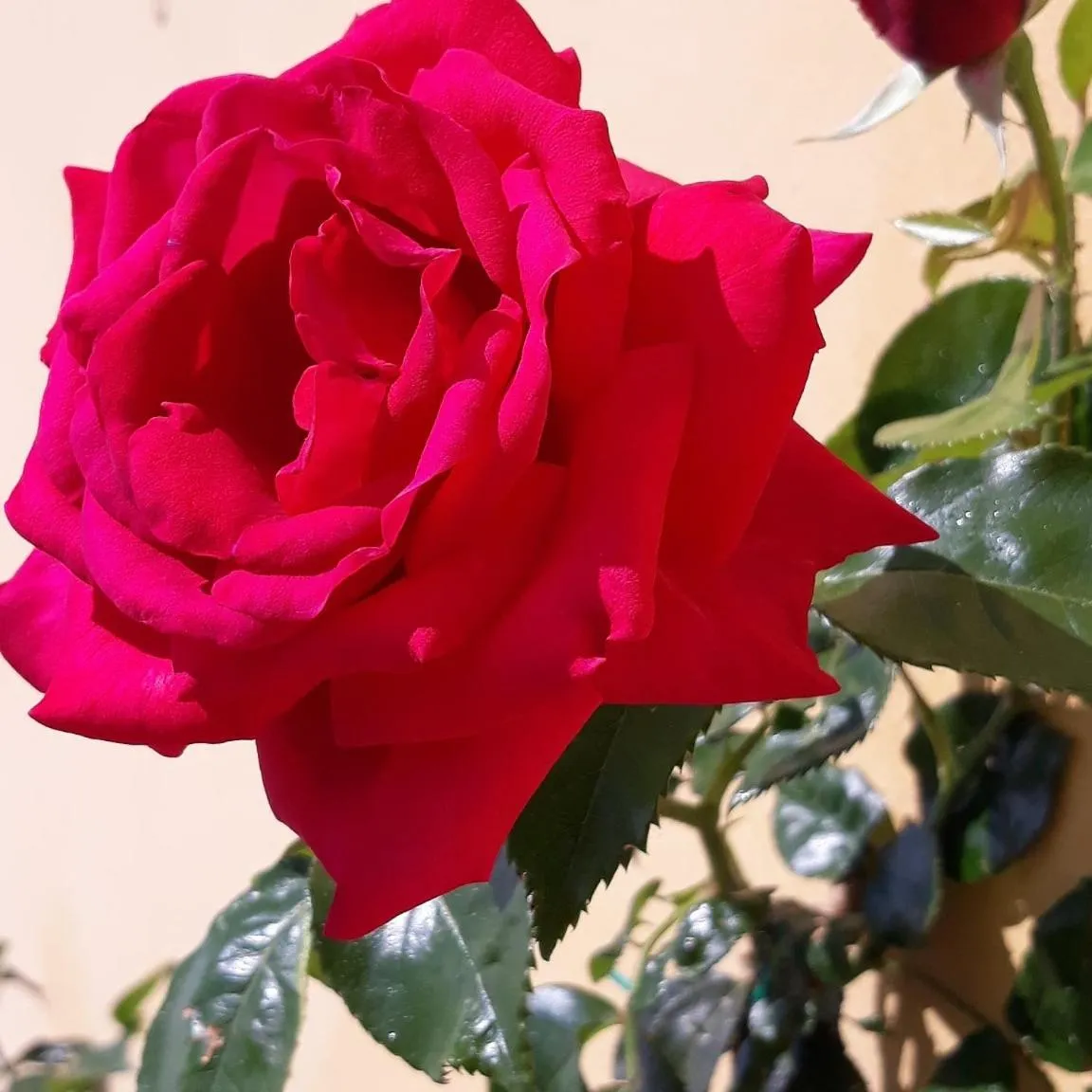 La Torre wine resort