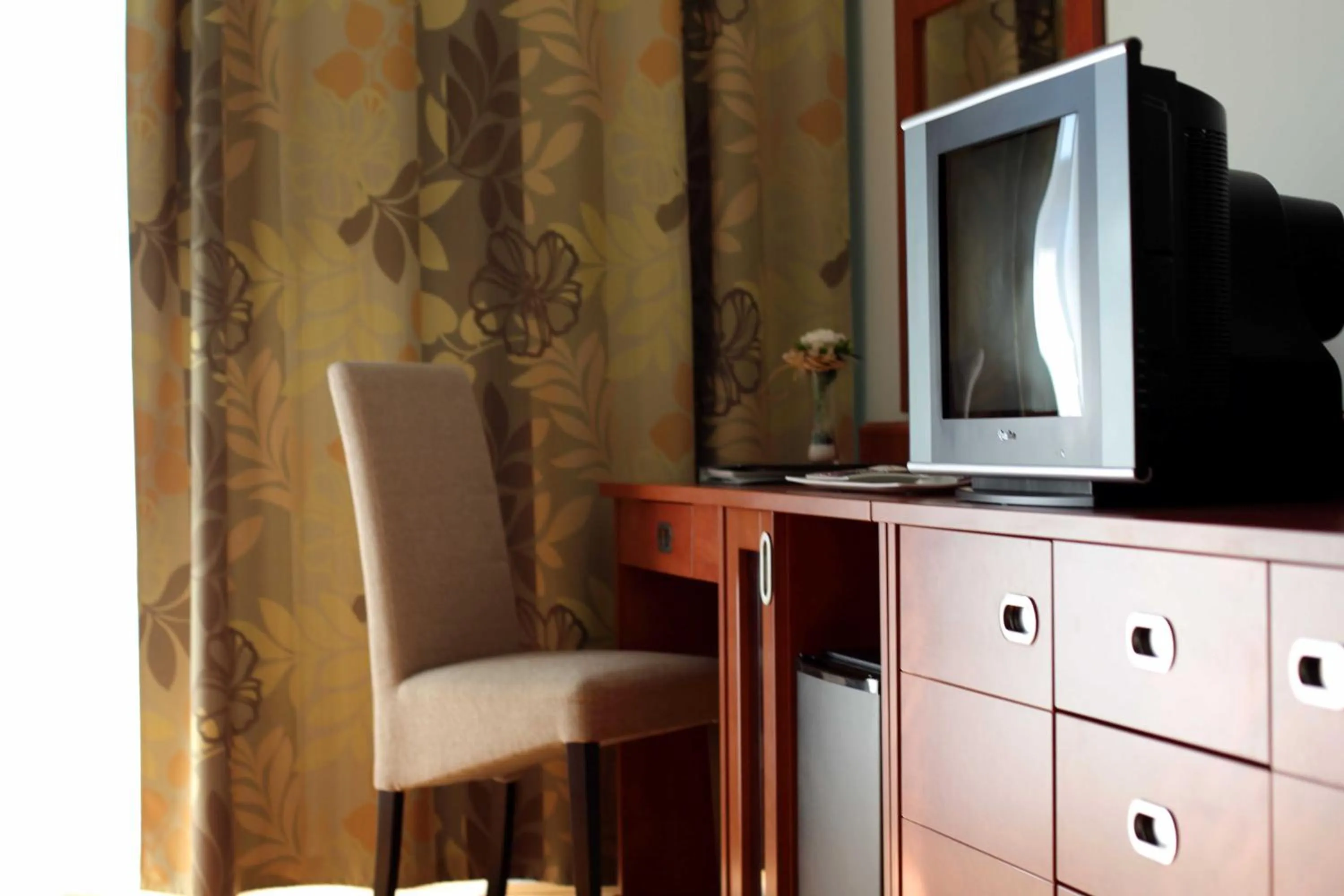 TV and multimedia in Dorijini Dvori