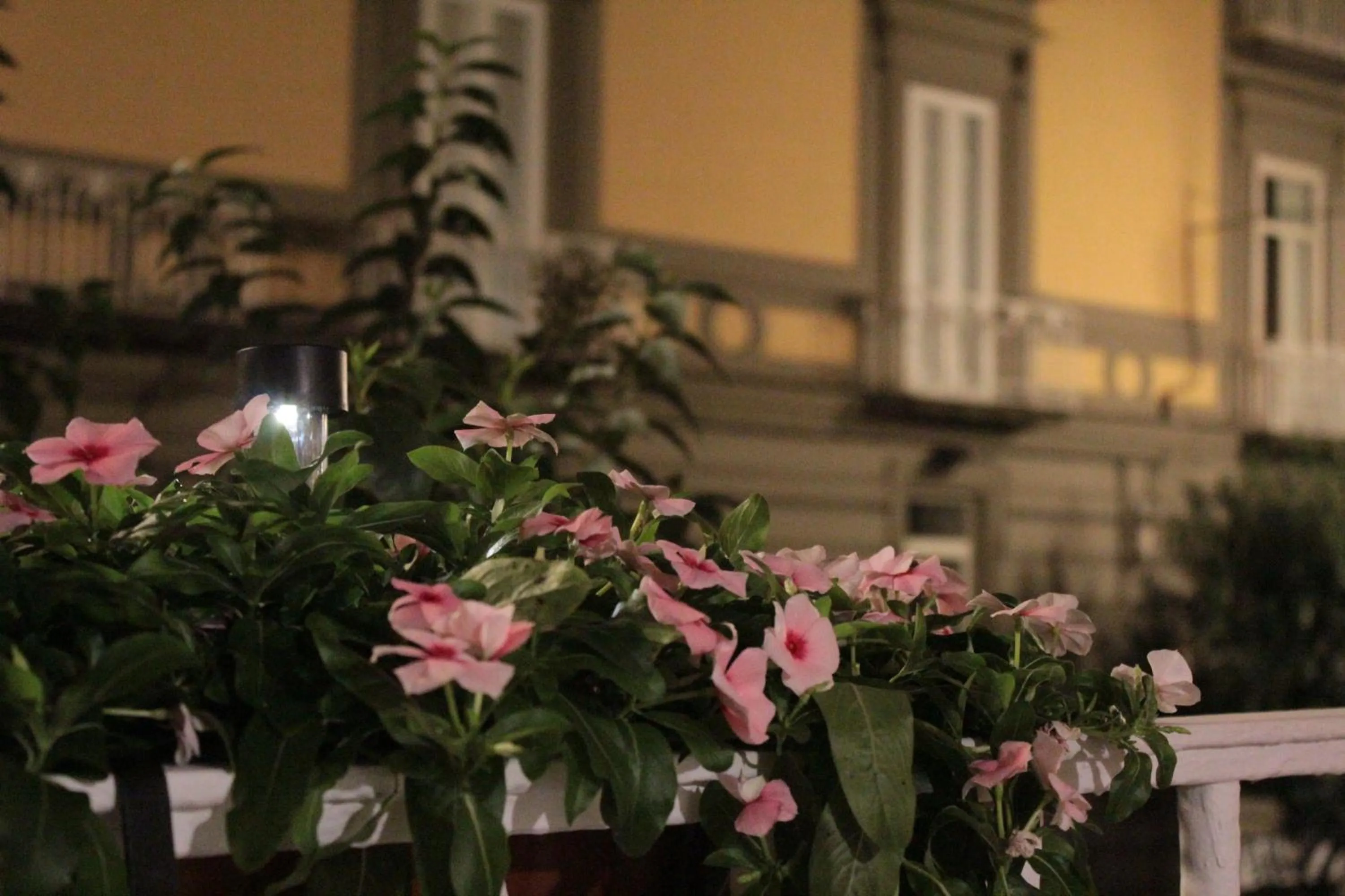 Floor plan in Per Amor Duomo