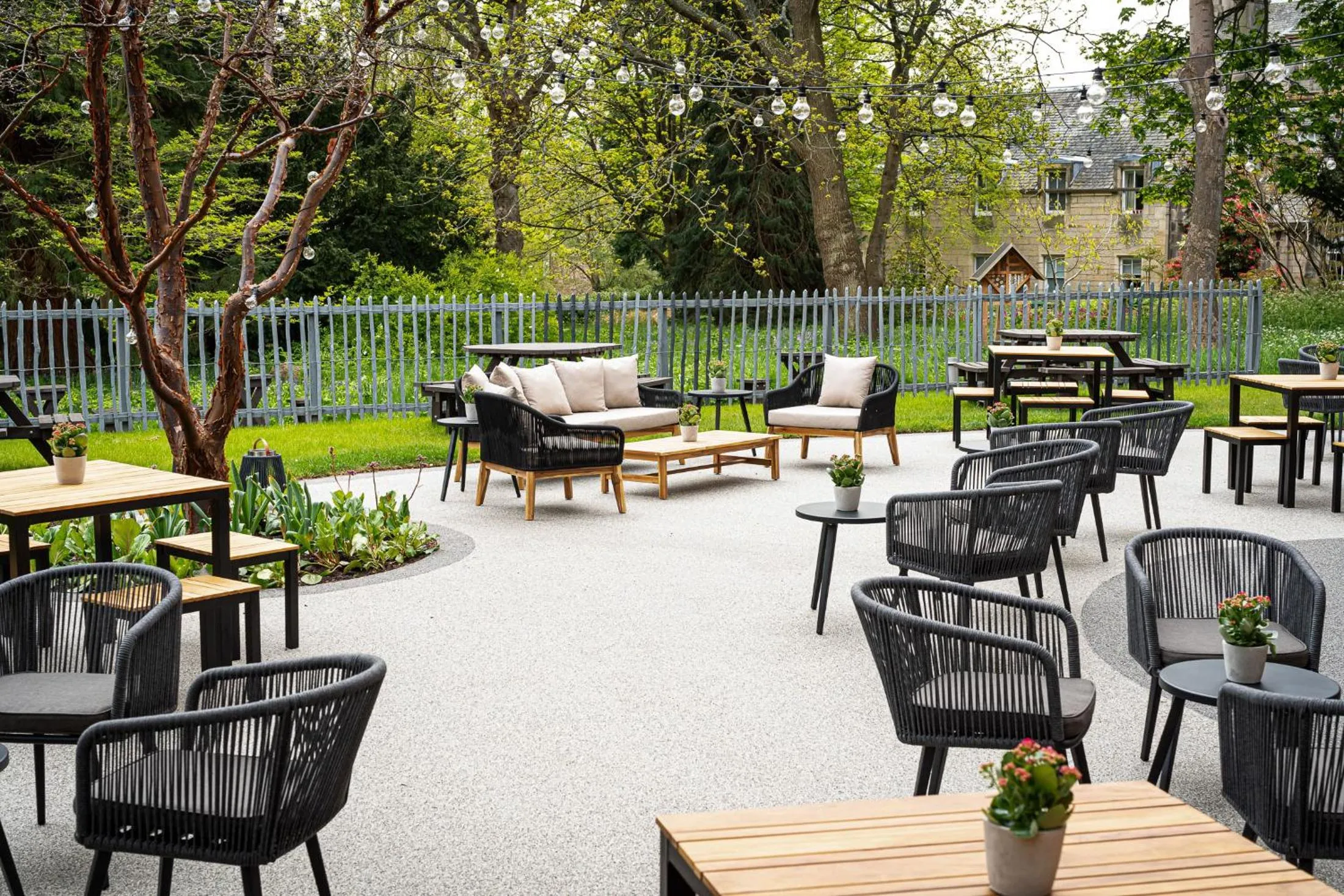 Garden in The Scholar