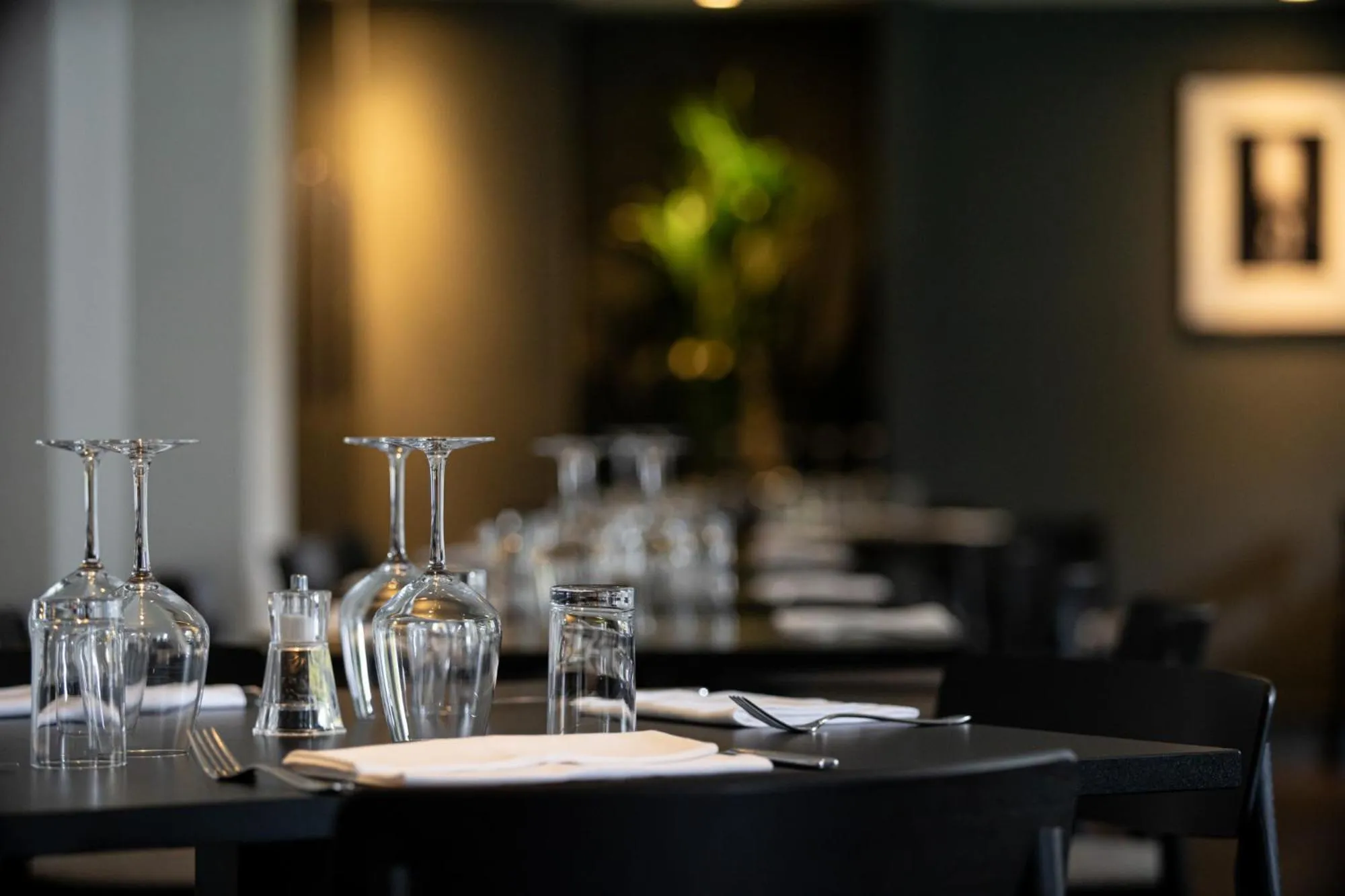 Restaurant/places to eat in The Scholar