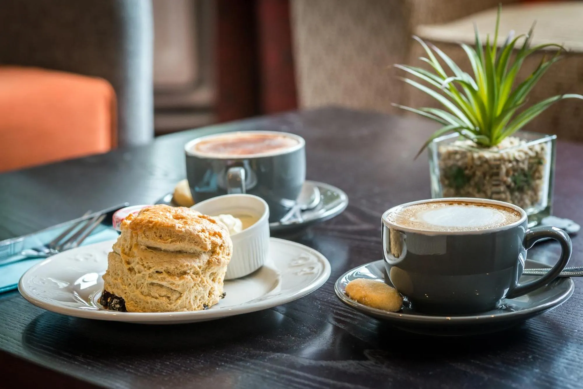 Lounge or bar in The Scholar