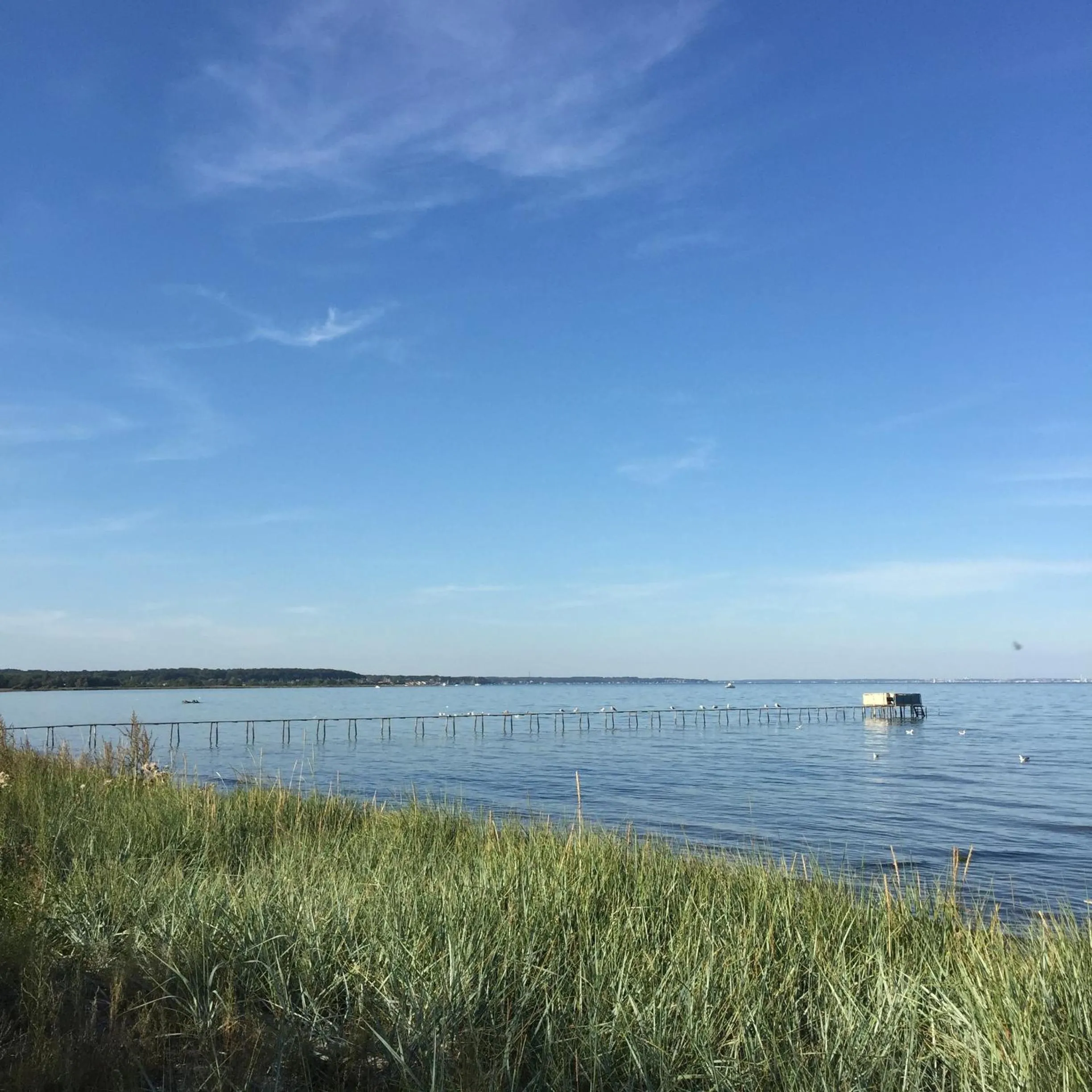 Beach in Mikkelborg B&B