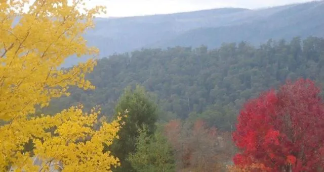 Natural landscape in Goldberryaccommodation