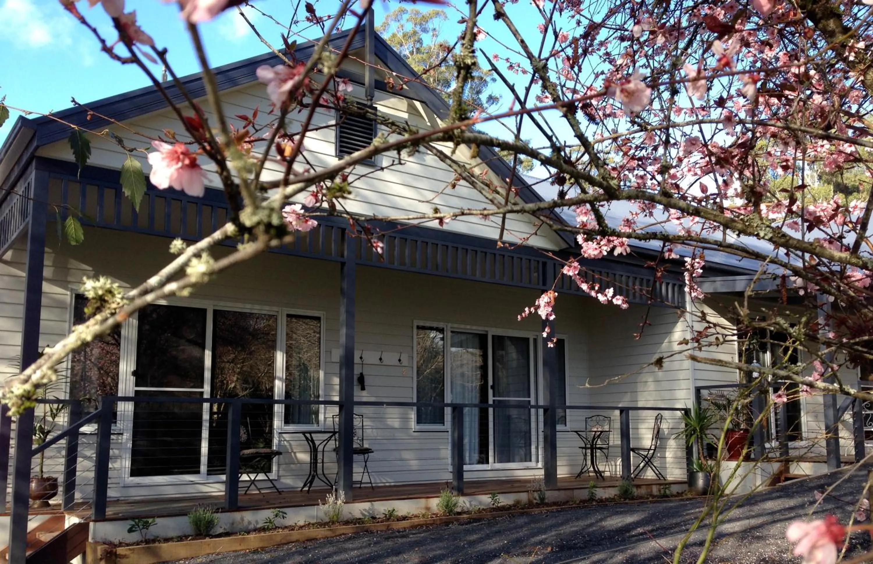 Spring in Goldberryaccommodation