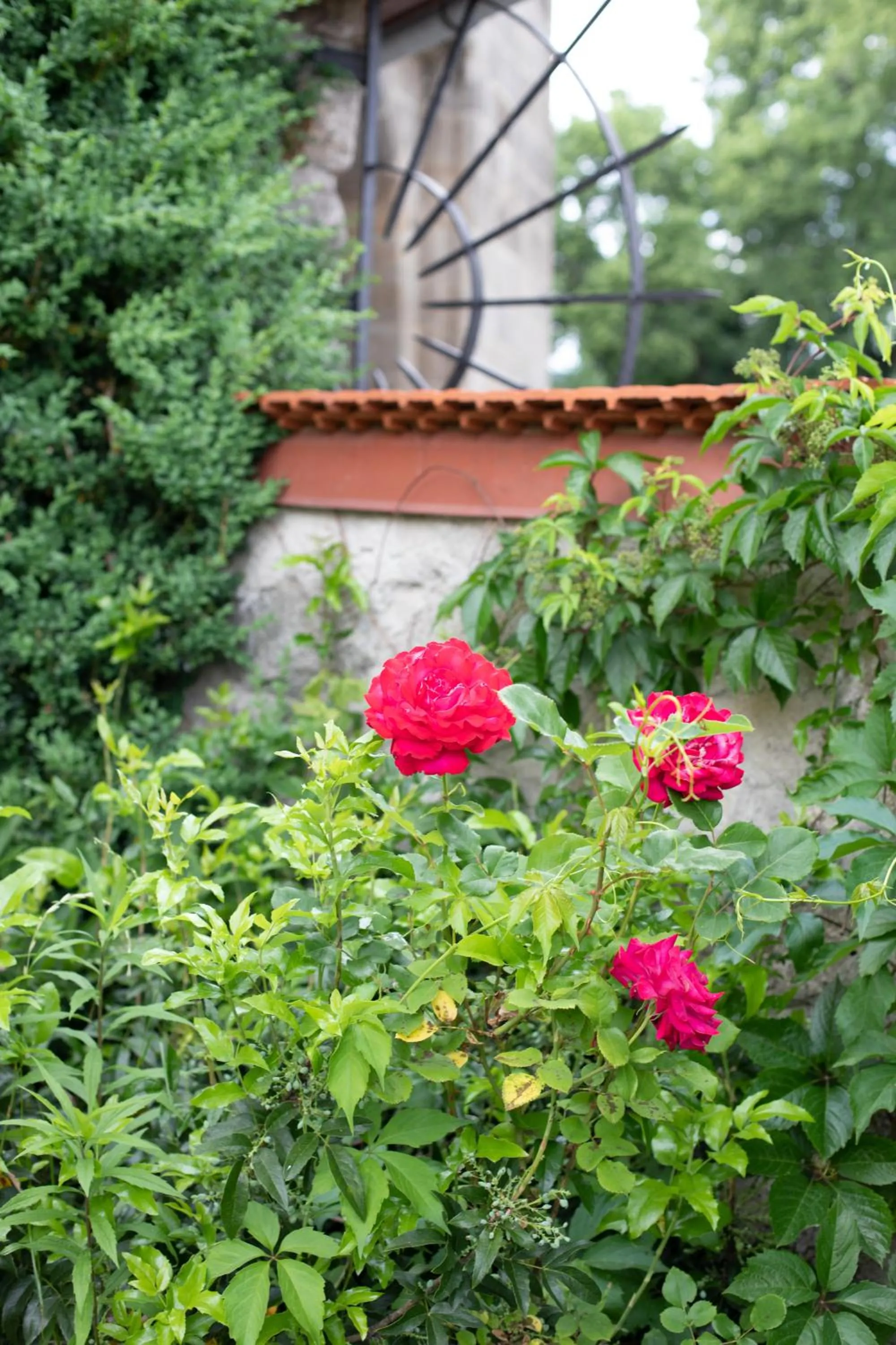 Hotel Zum Goldenen Hirschen