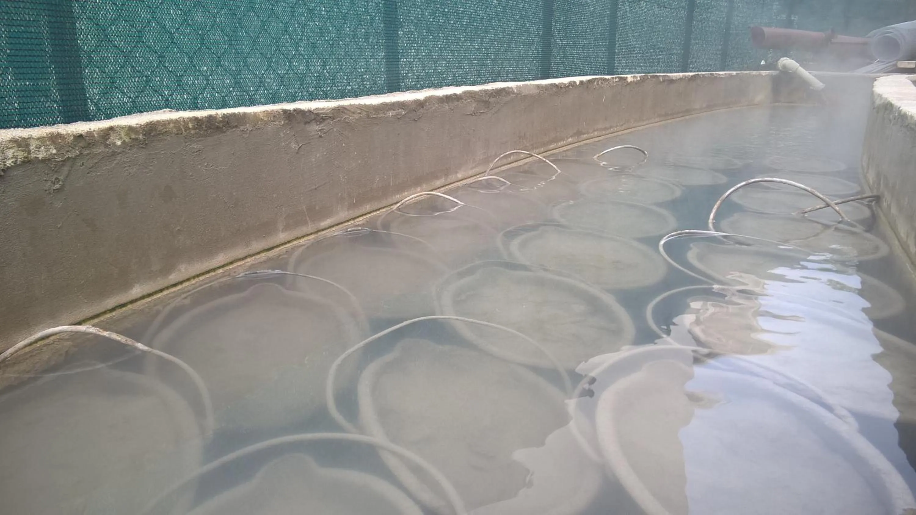 Hot Spring Bath in Hotel Terme Belvedere