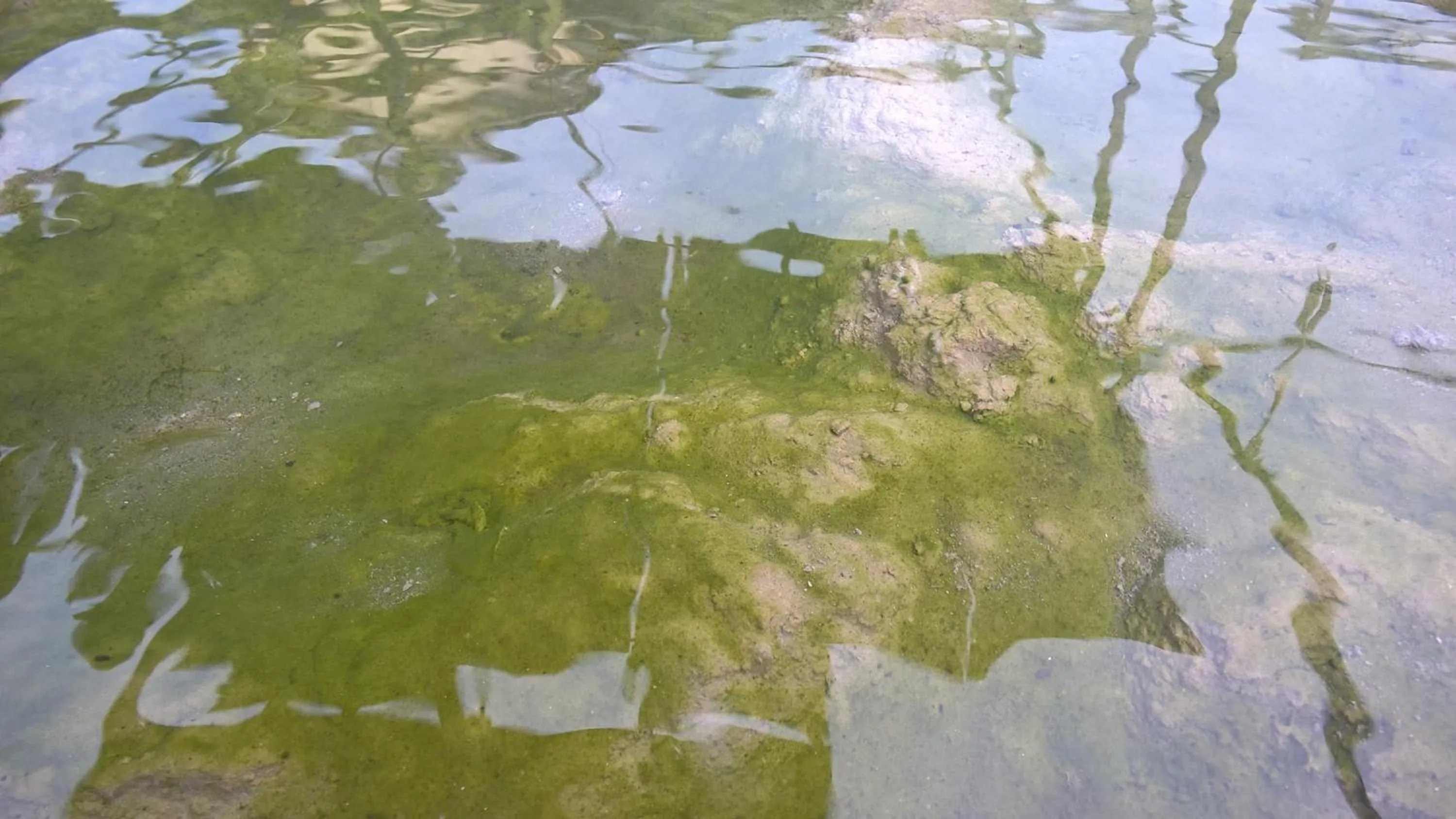 Hot Spring Bath in Hotel Terme Belvedere