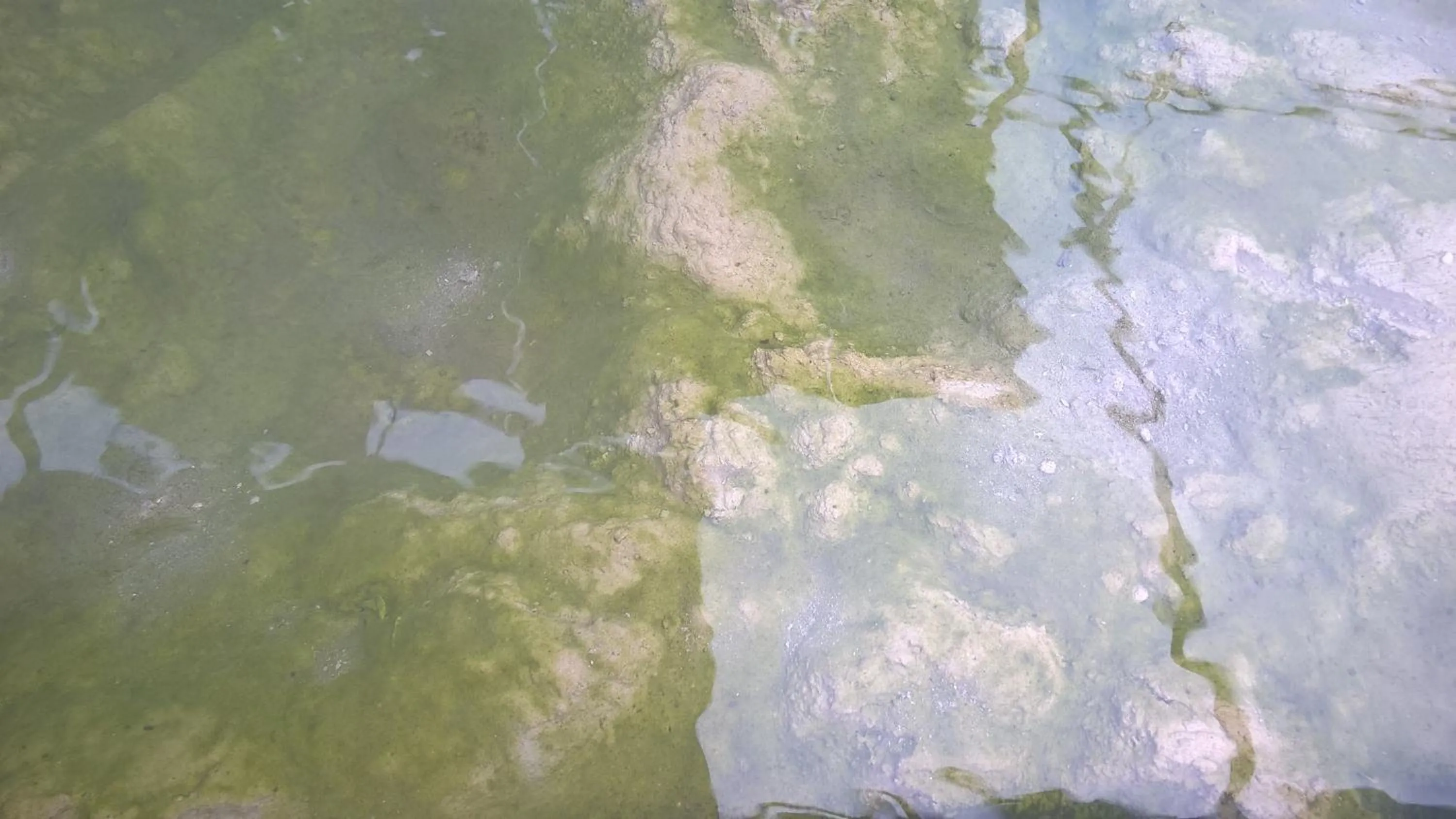 Hot Spring Bath in Hotel Terme Belvedere
