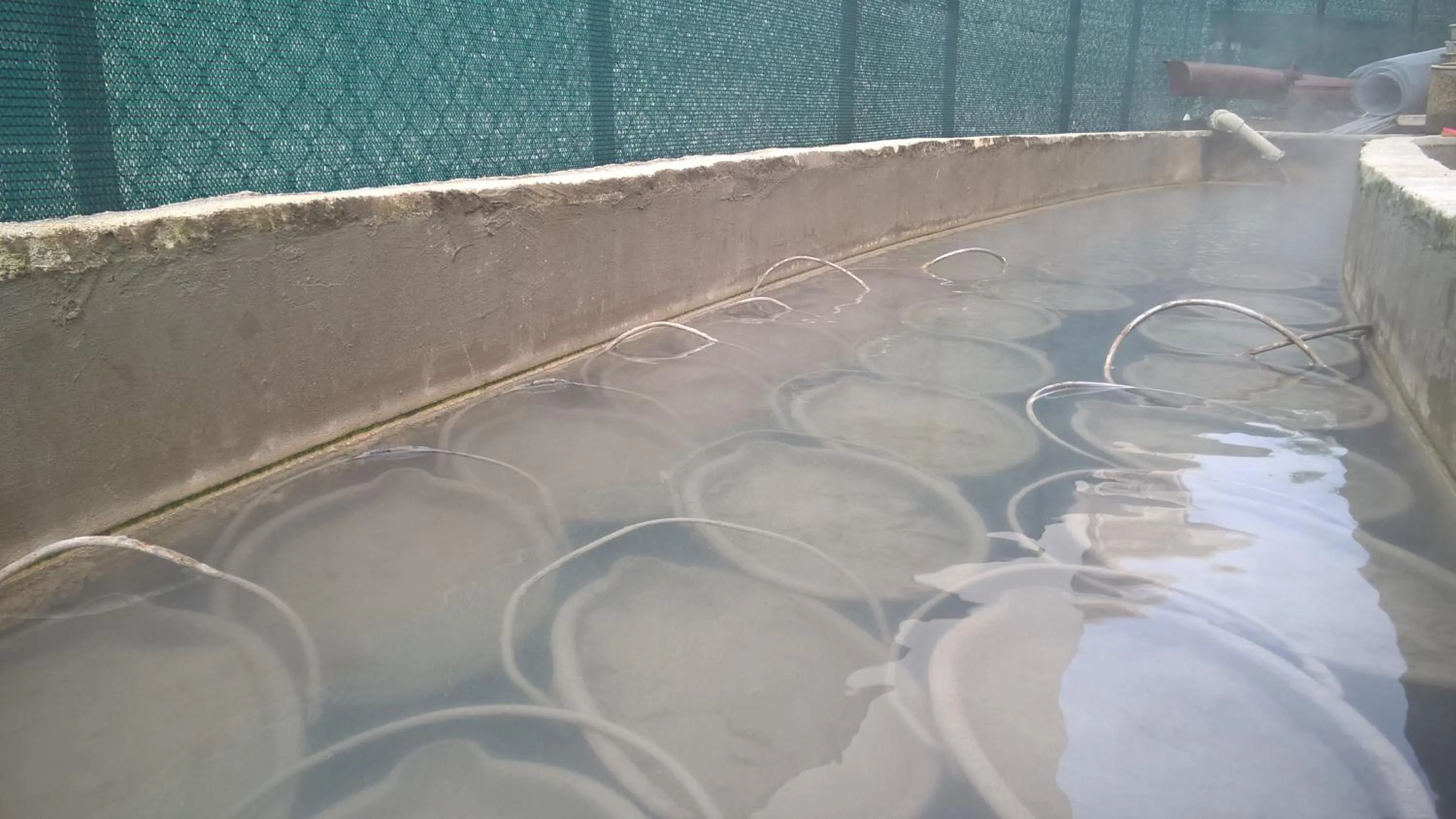 Hot Spring Bath in Hotel Terme Belvedere
