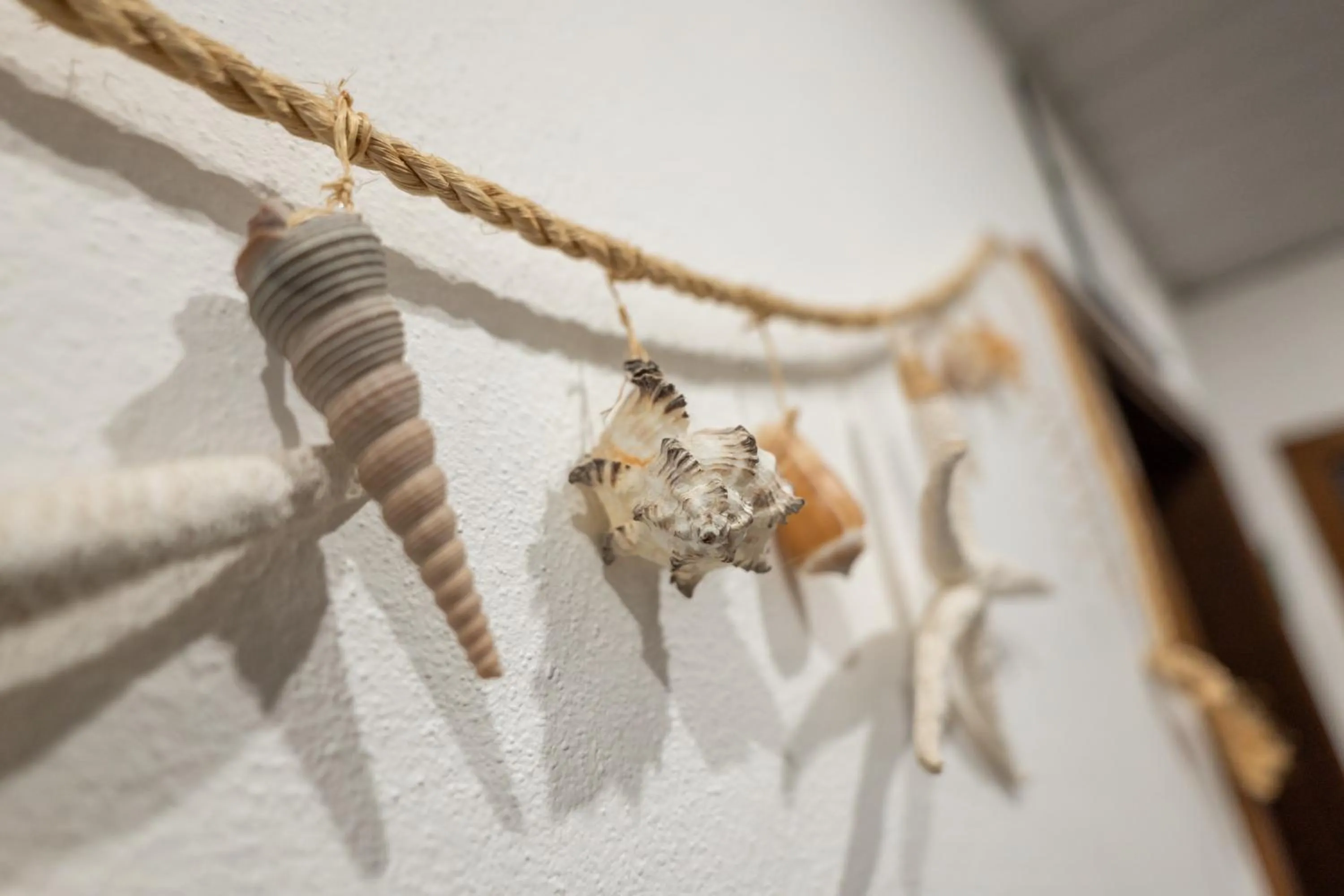 Decorative detail in Hotel Il Lato Azzurro - Isola di Sant'Erasmo - NO VEHICLES ACCESS