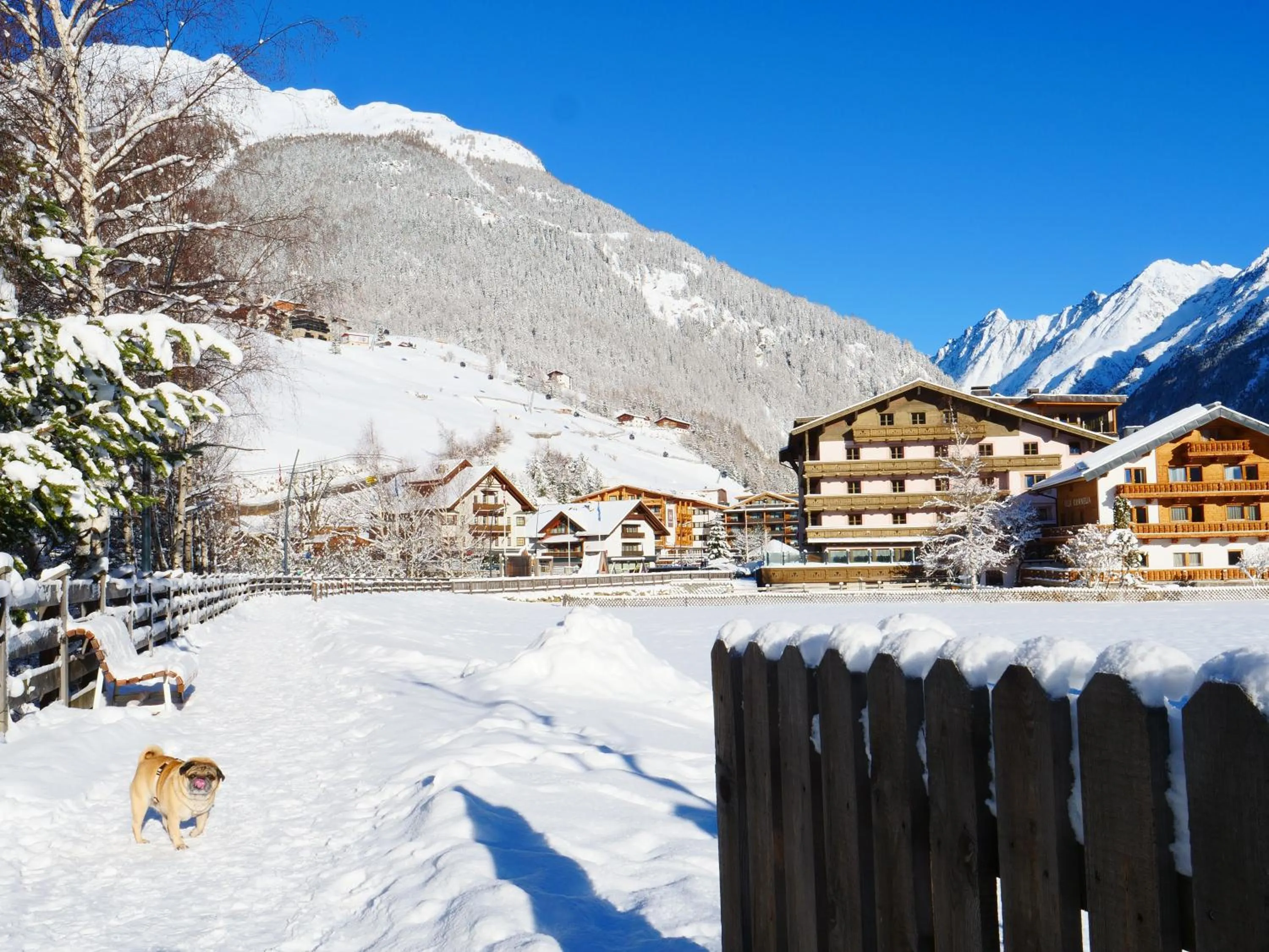pet friendly in Parkhotel Sölden
