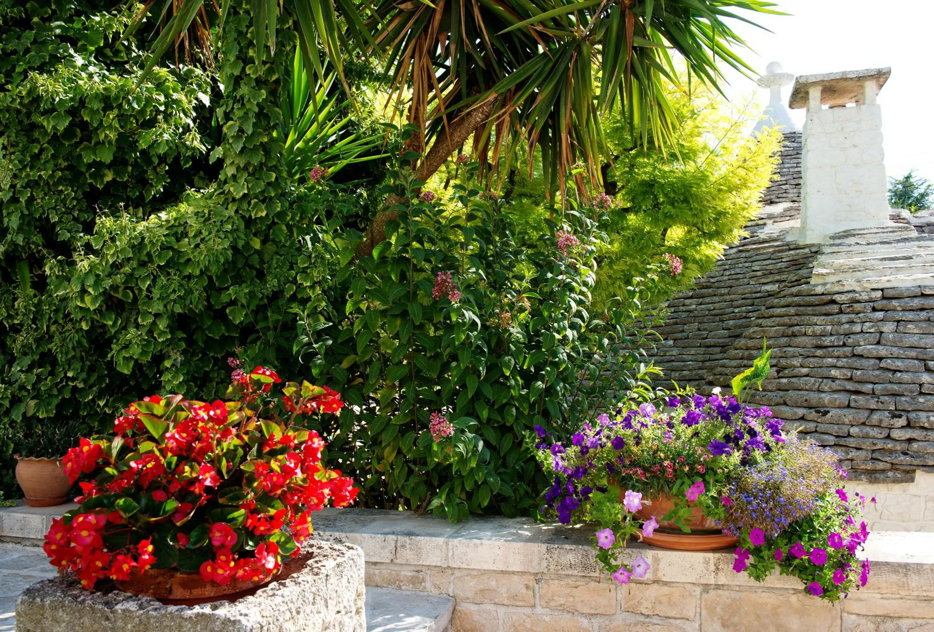 Garden in Trullo Giardino Fiorito
