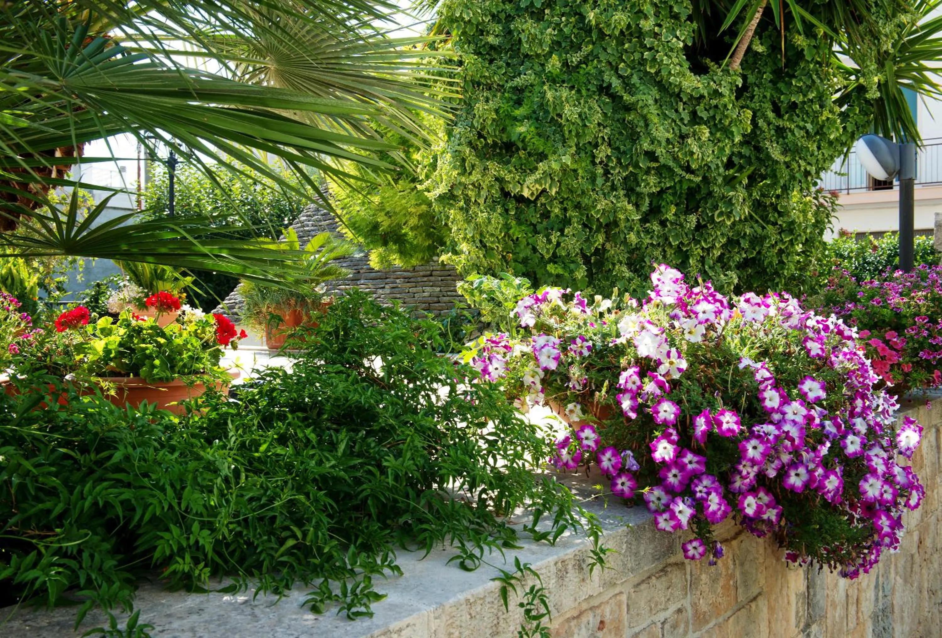 Garden in Trullo Giardino Fiorito