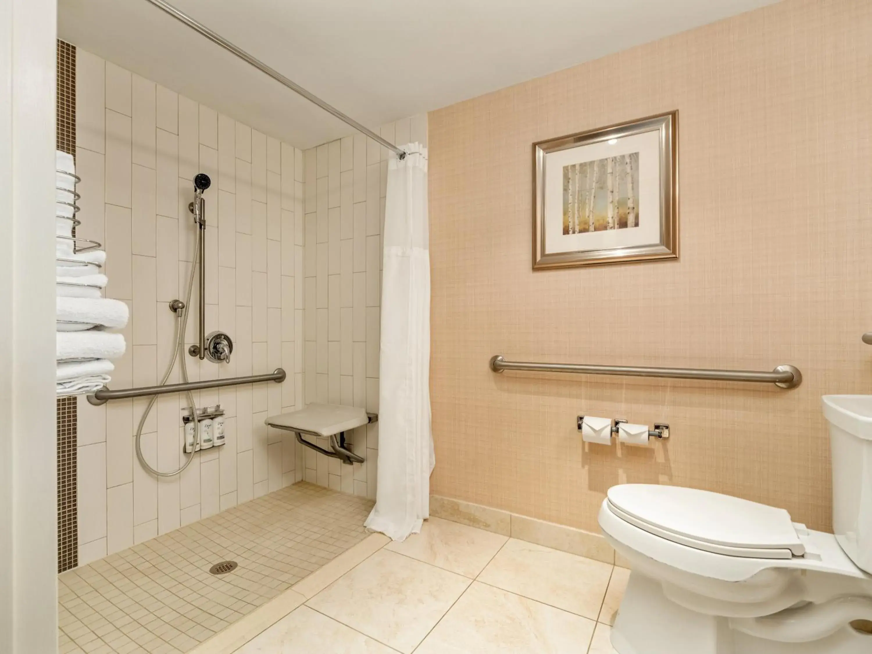 Double Room - Disability Access/Roll-In Shower in Holiday Inn Conference Centre Edmonton South by IHG Double Room - Disability Access/Roll-In Shower in Holiday Inn Conference Centre Edmonton South by IHG
