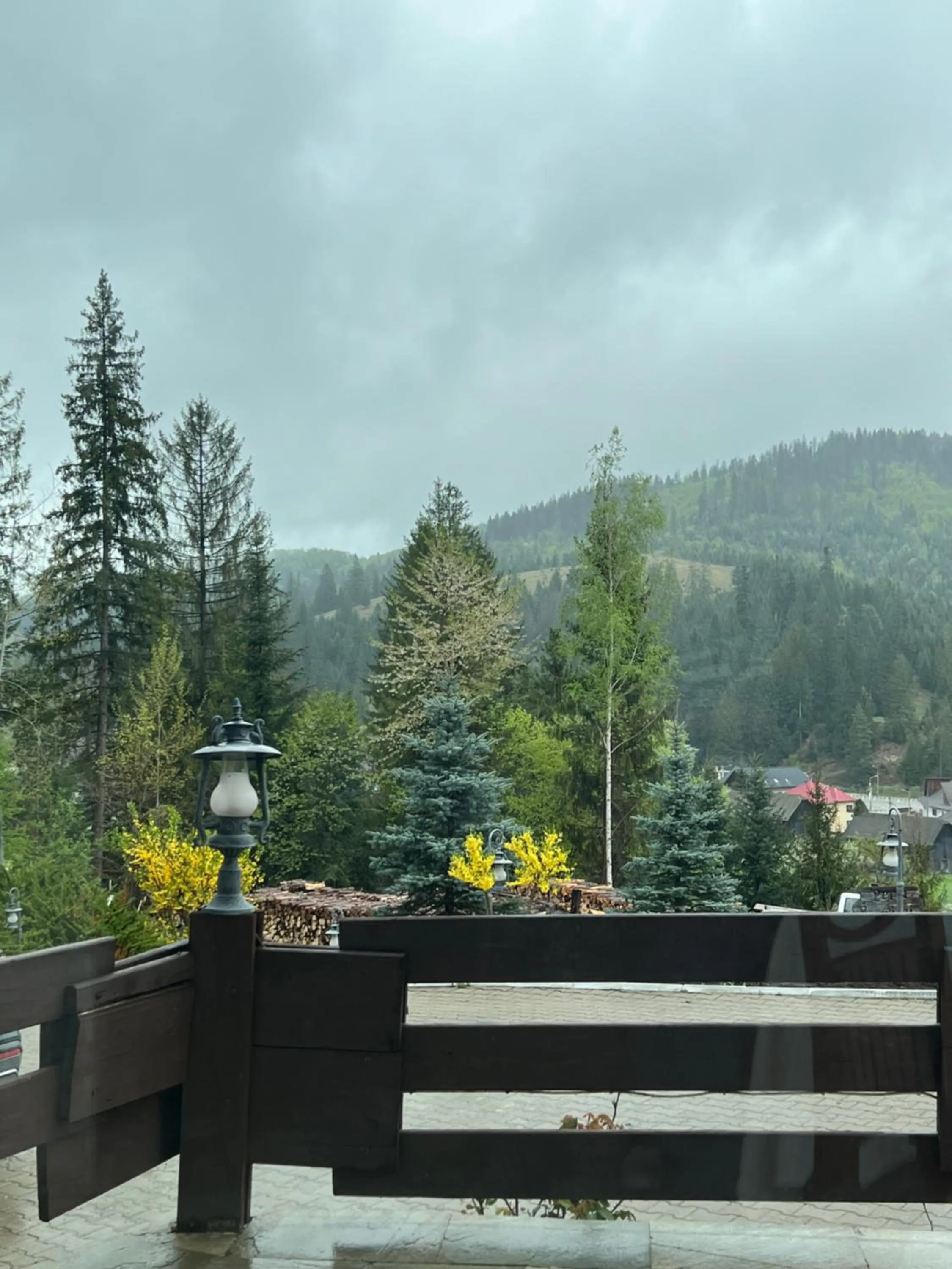 Pension Perla Bucovinei