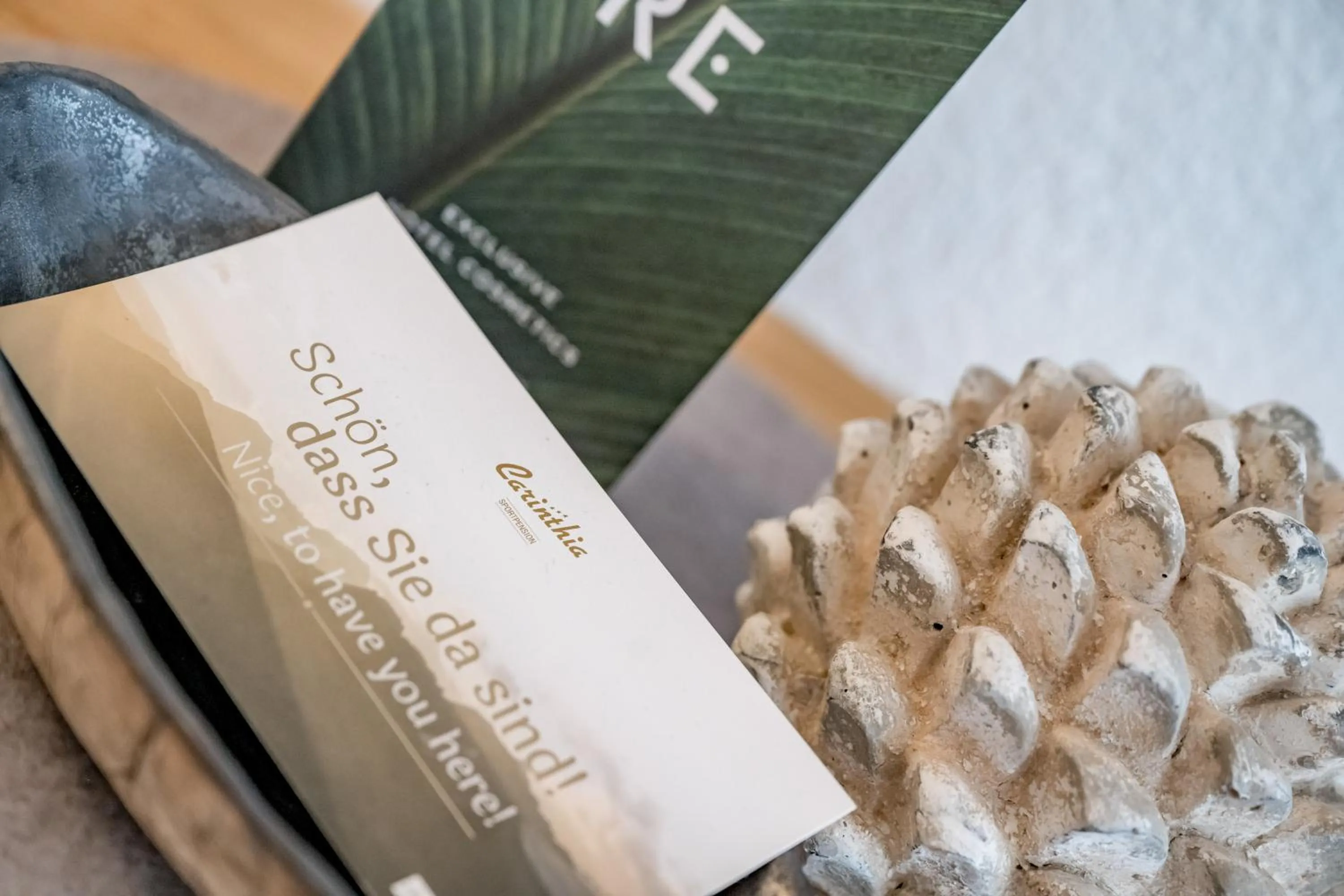 Decorative detail in Hotel Sportpension Carinthia