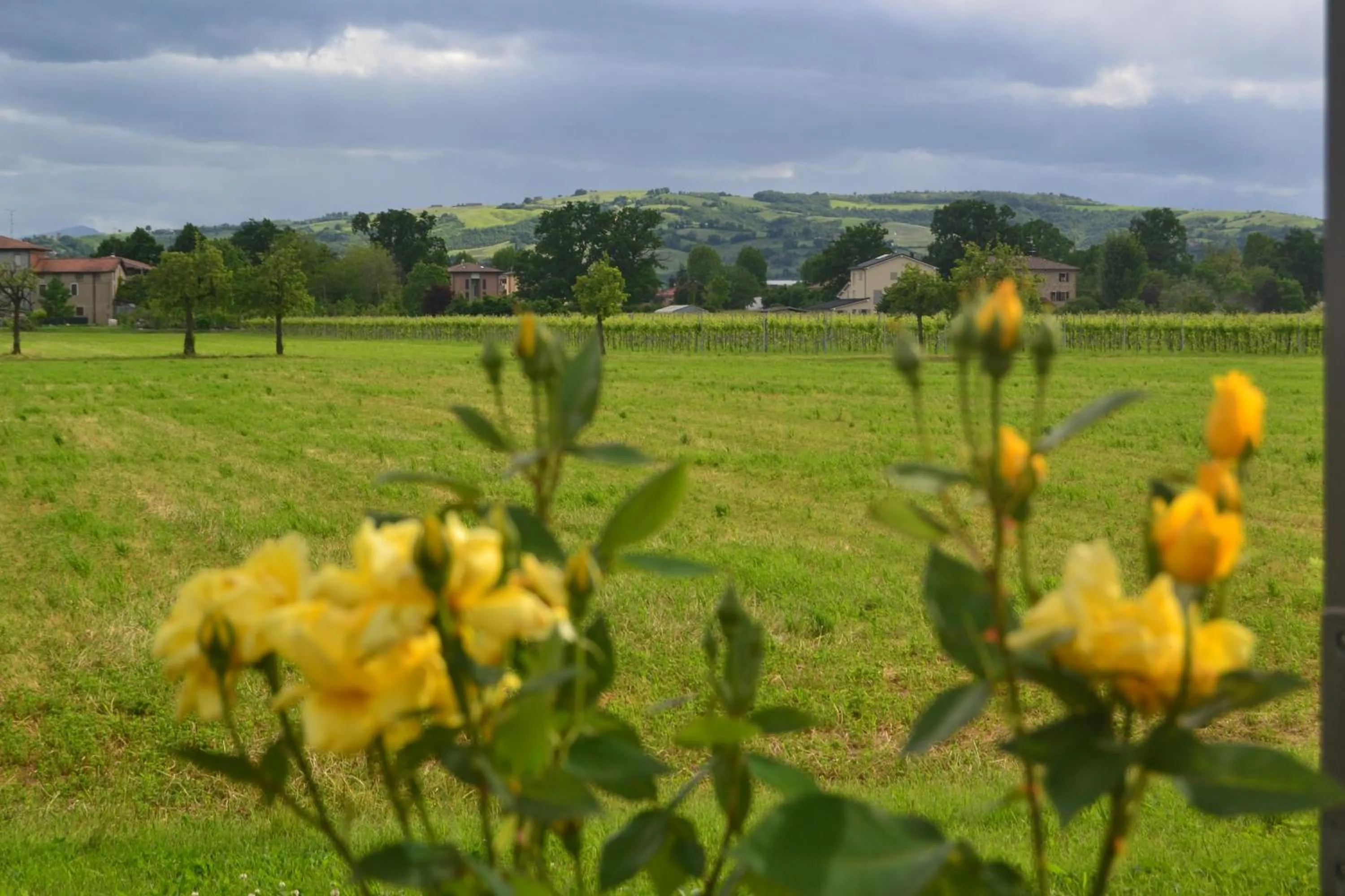 On site in Casalgrande Hotel