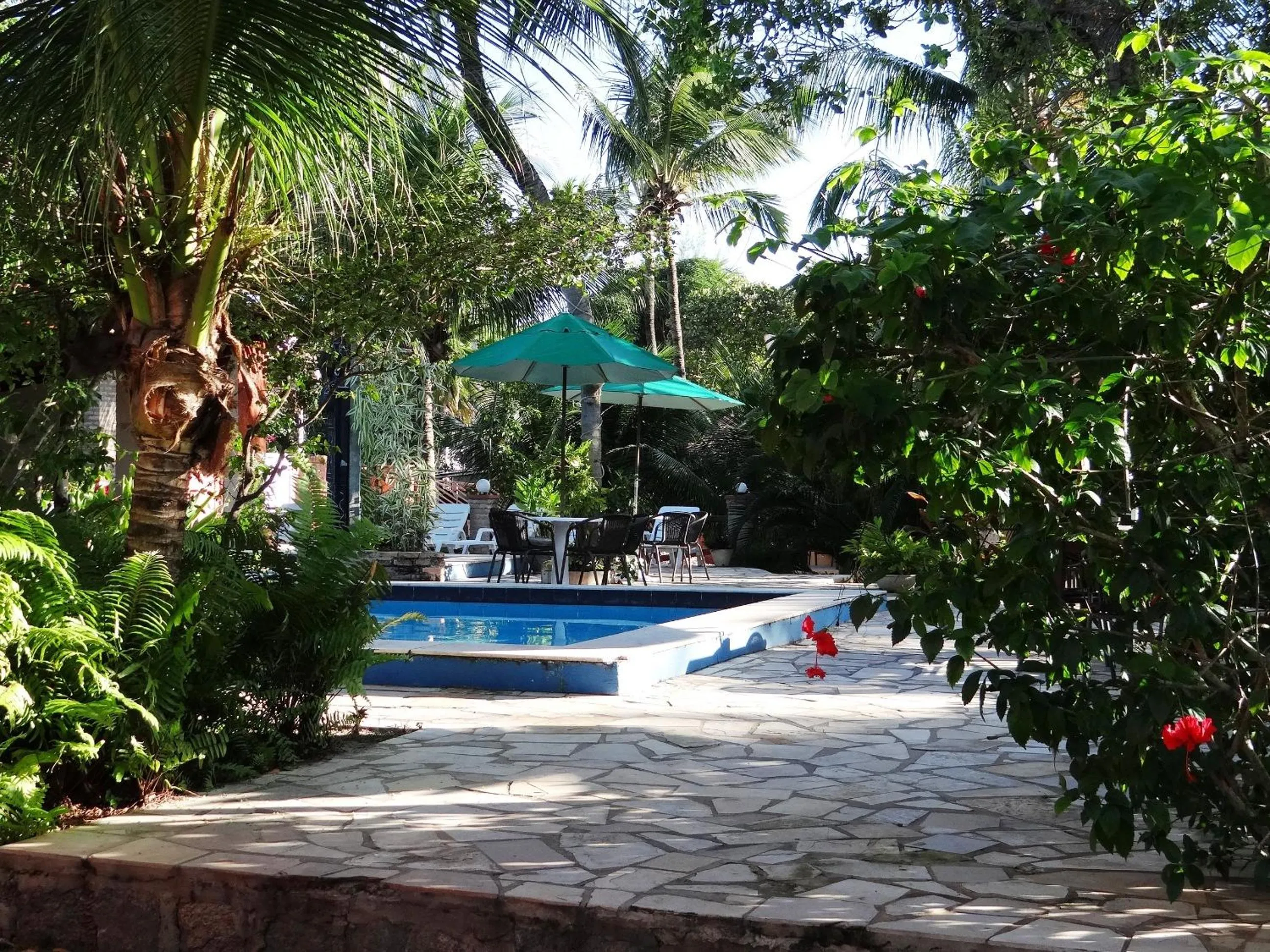 Swimming pool in Pousada Cavalo Marinho