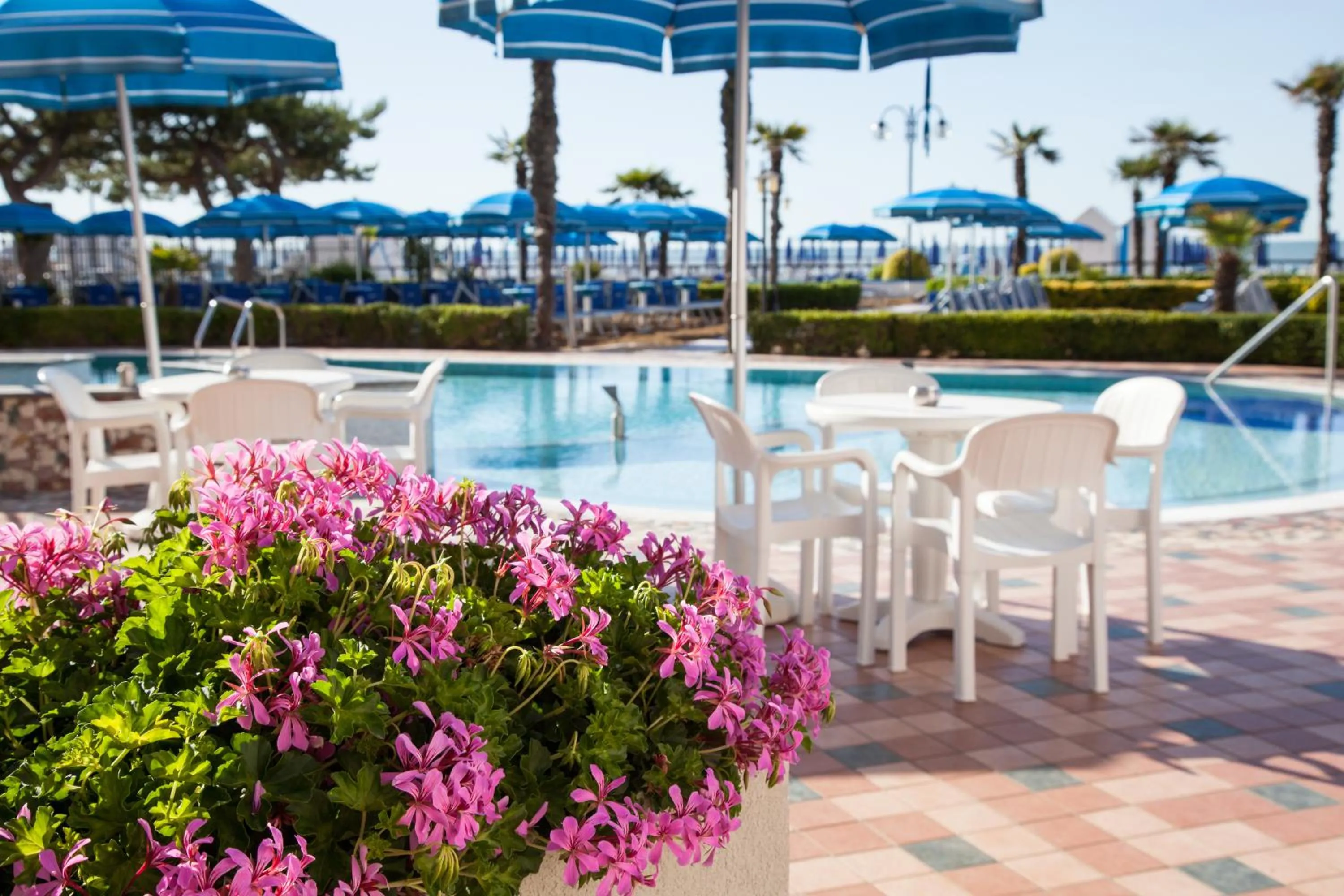 Pool view in Regent's Hotel