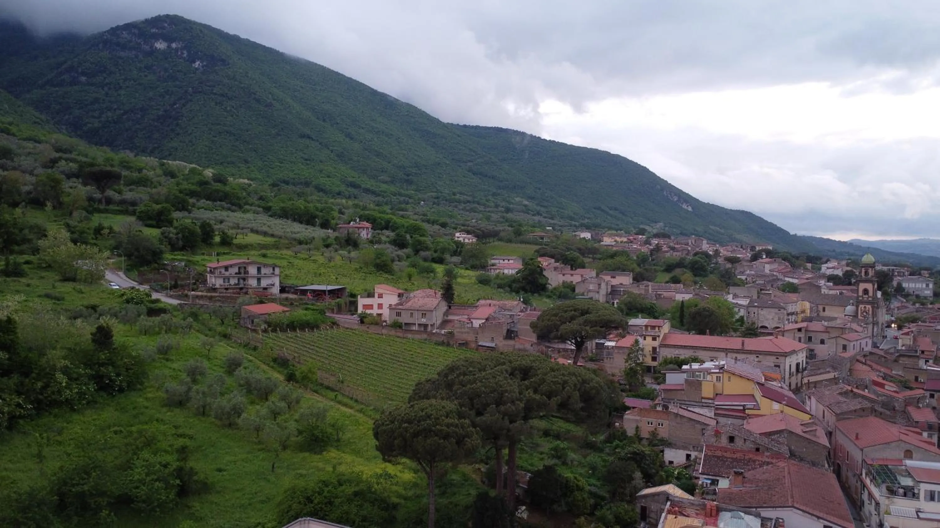Hiking in palazzo RICCARDI