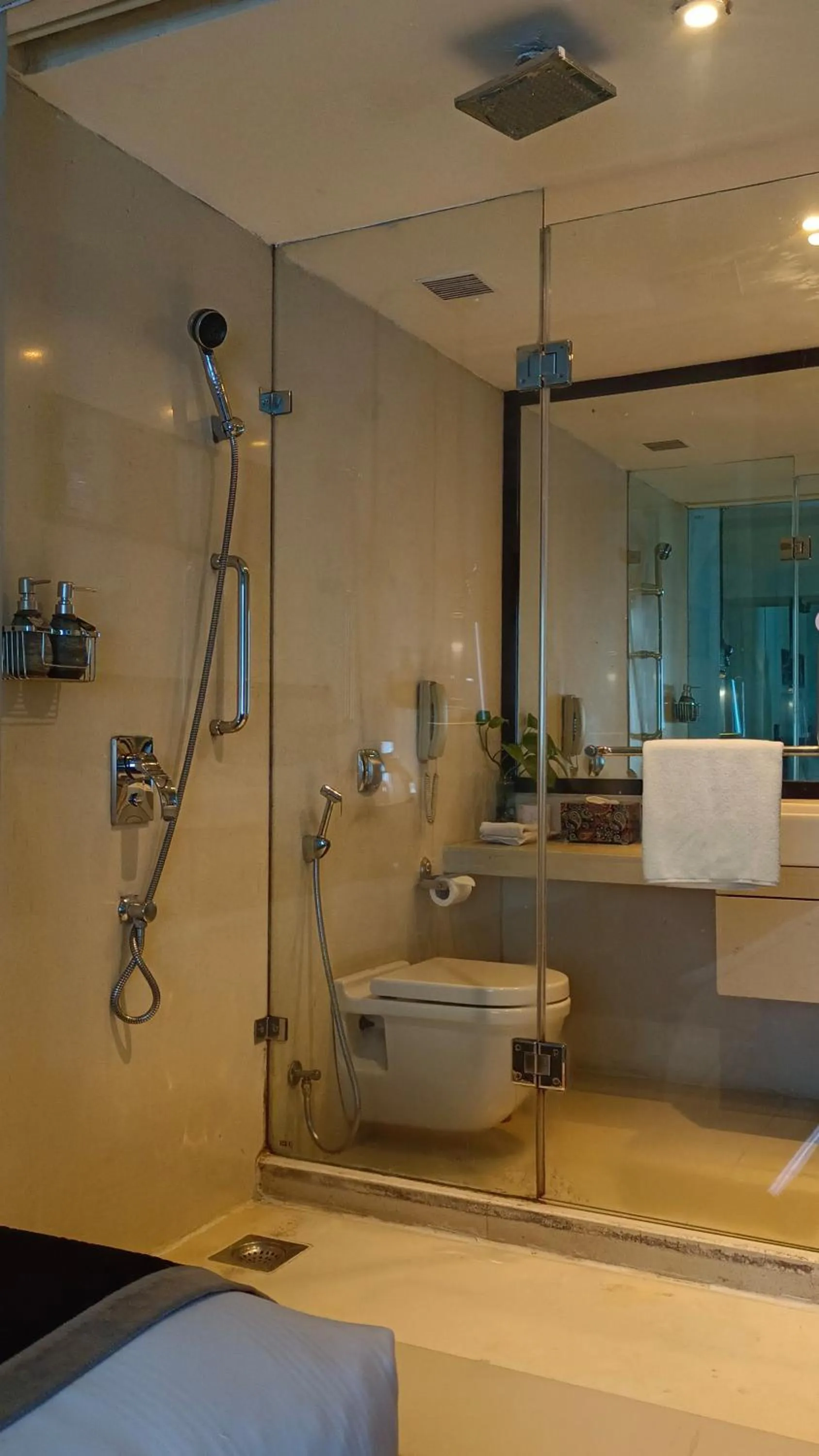 Toilet in Pride Premier Pune