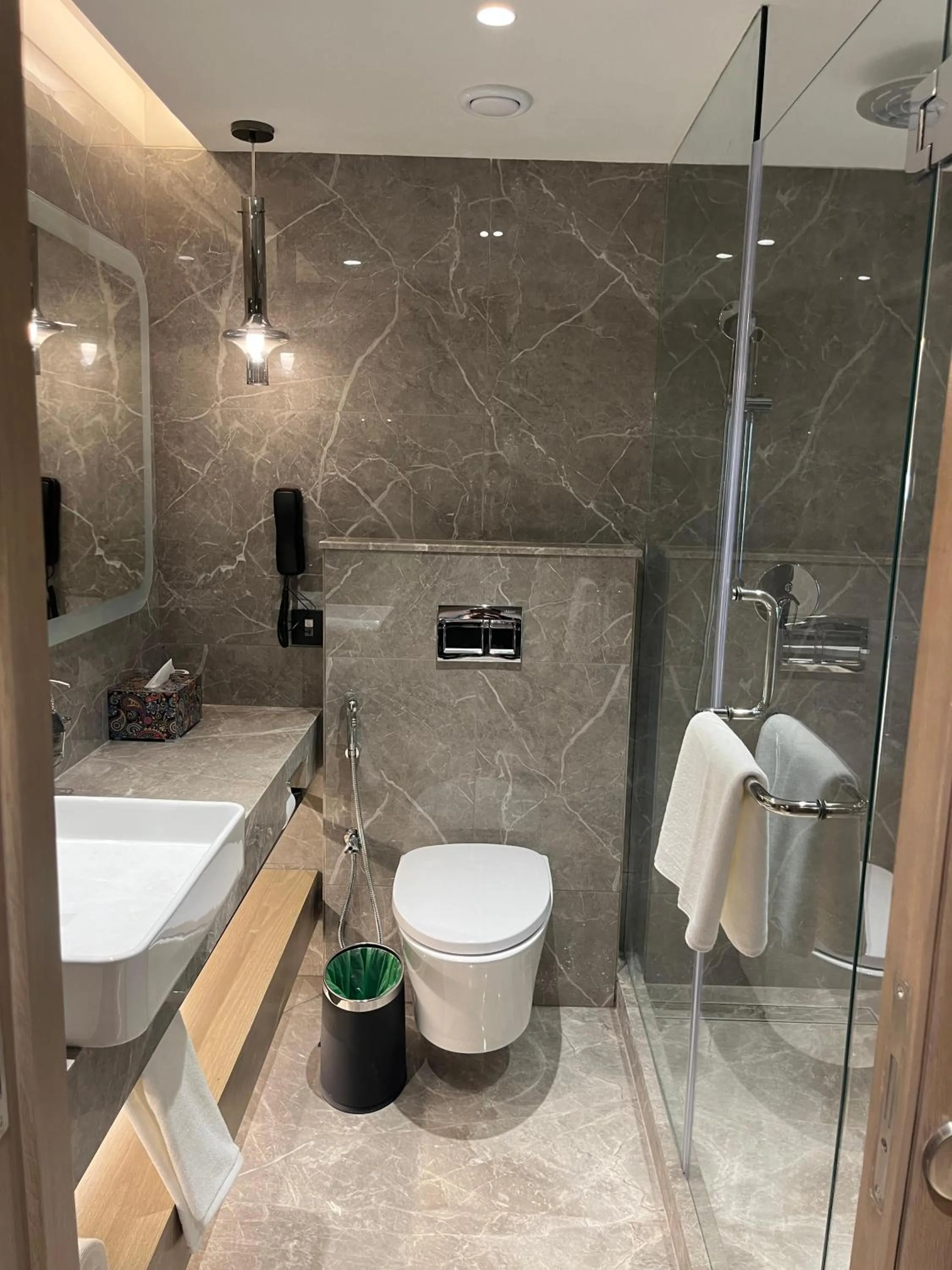 Bathroom in Pride Premier Pune