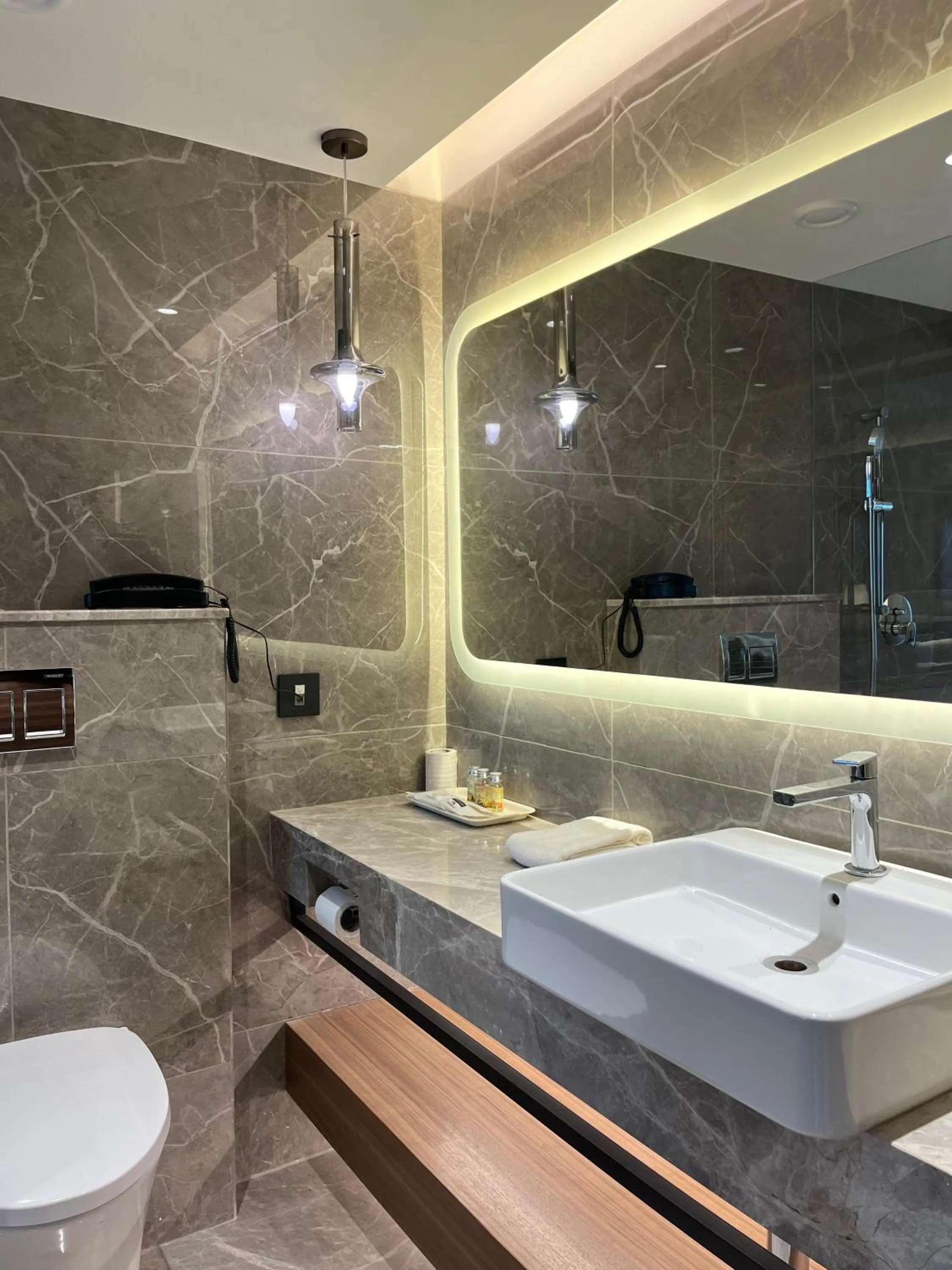 Bathroom in Pride Premier Pune