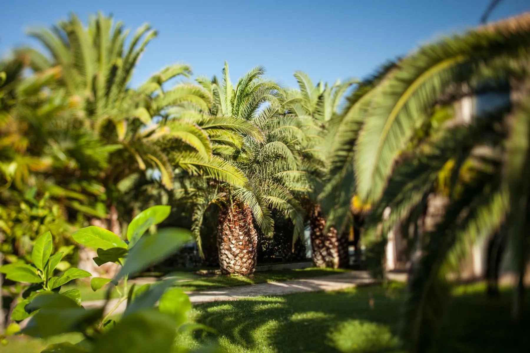 Day in Finis Africae Hotel