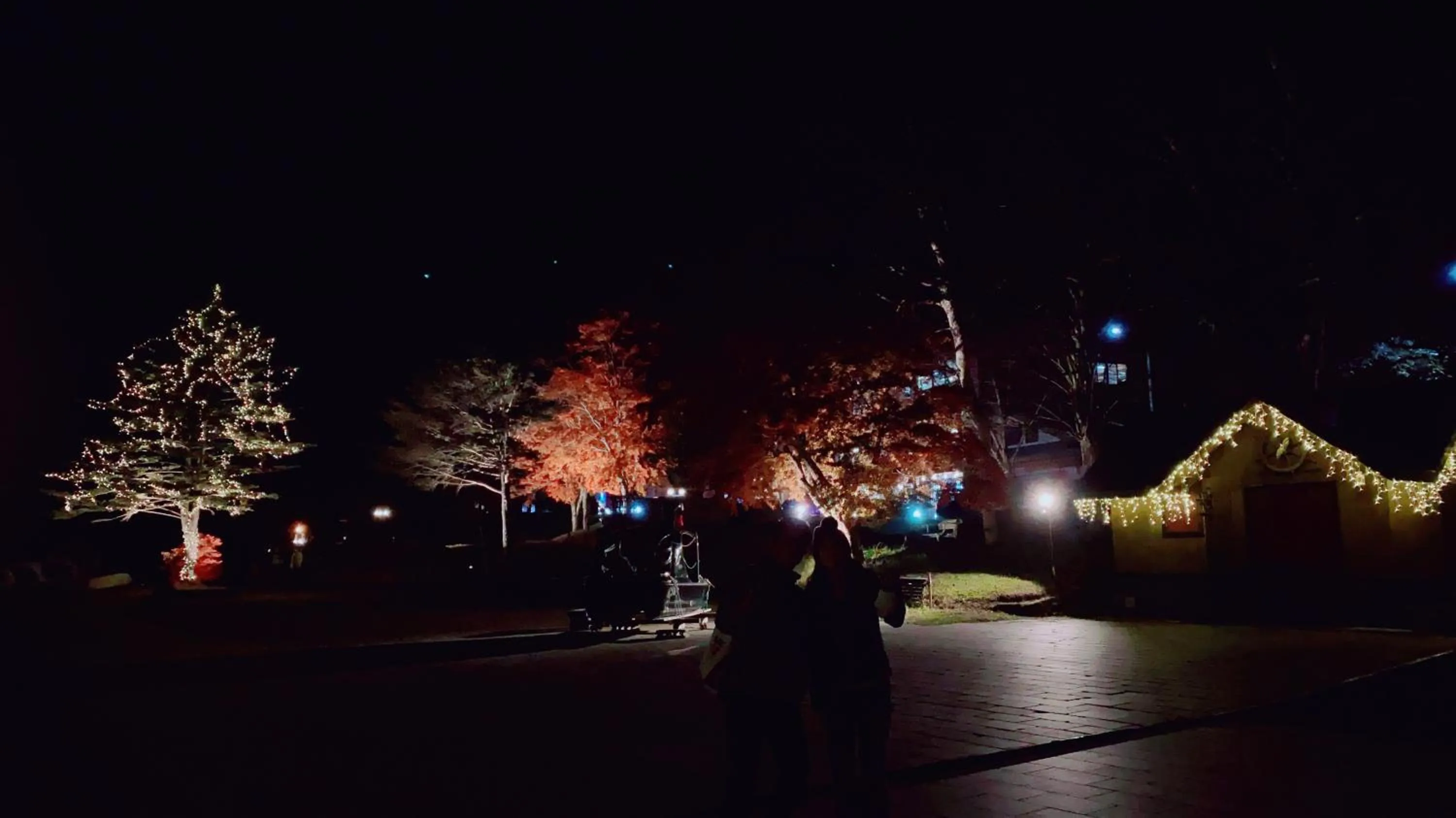 Night in Hatago Nagomi