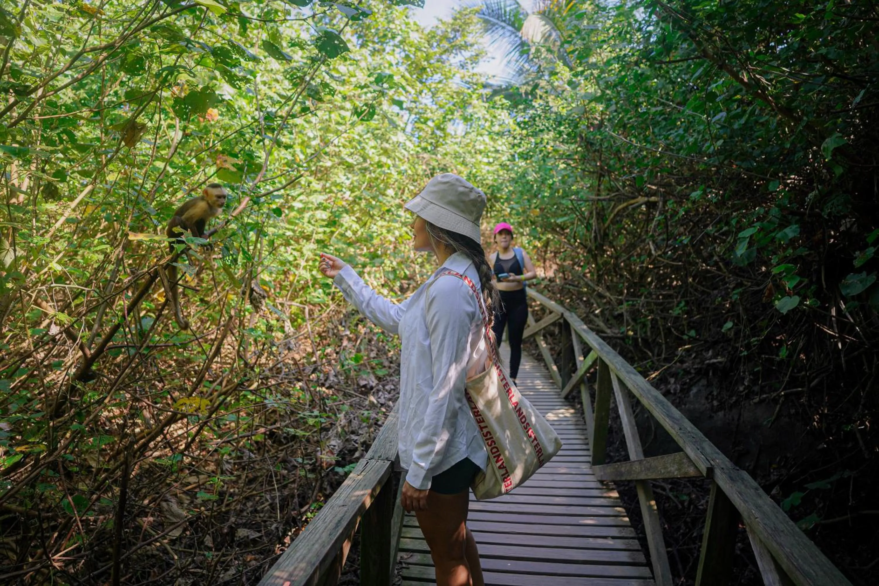 Hiking in Ecohotel Yachay Dentro del Parque Tayrona Inside Tayrona Park