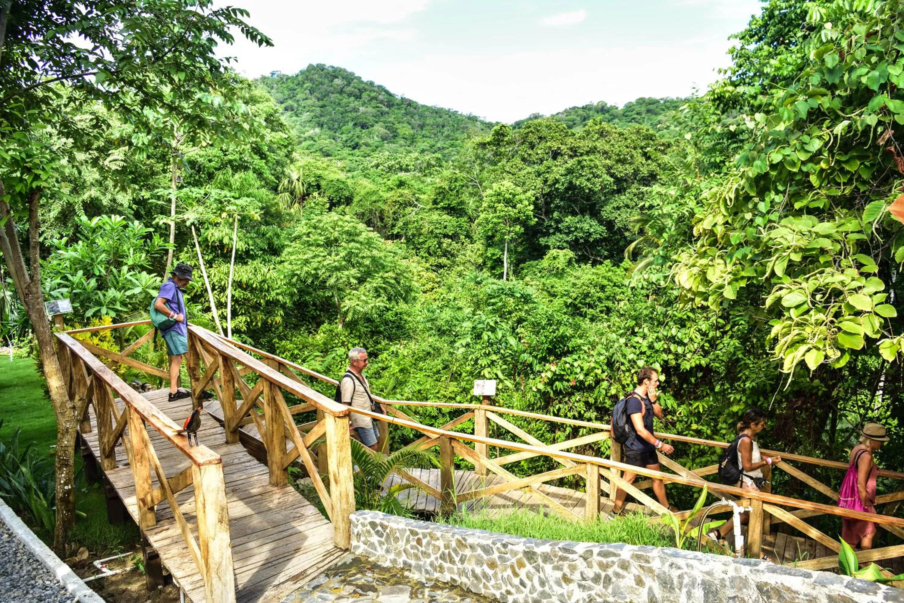 Garden in Ecohotel Yachay Dentro del Parque Tayrona Inside Tayrona Park