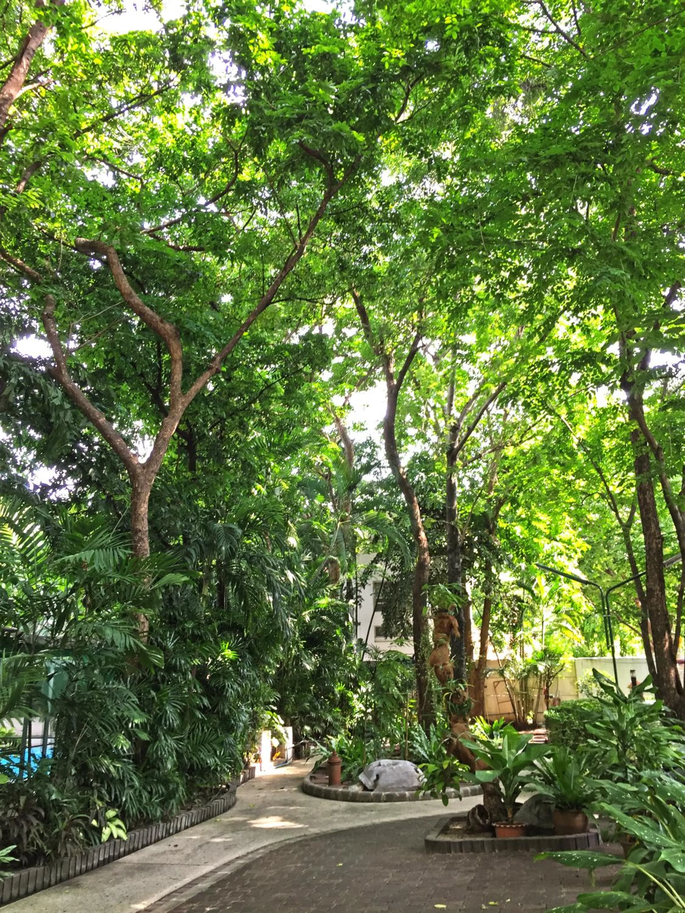 Garden in Rio Monte Residence