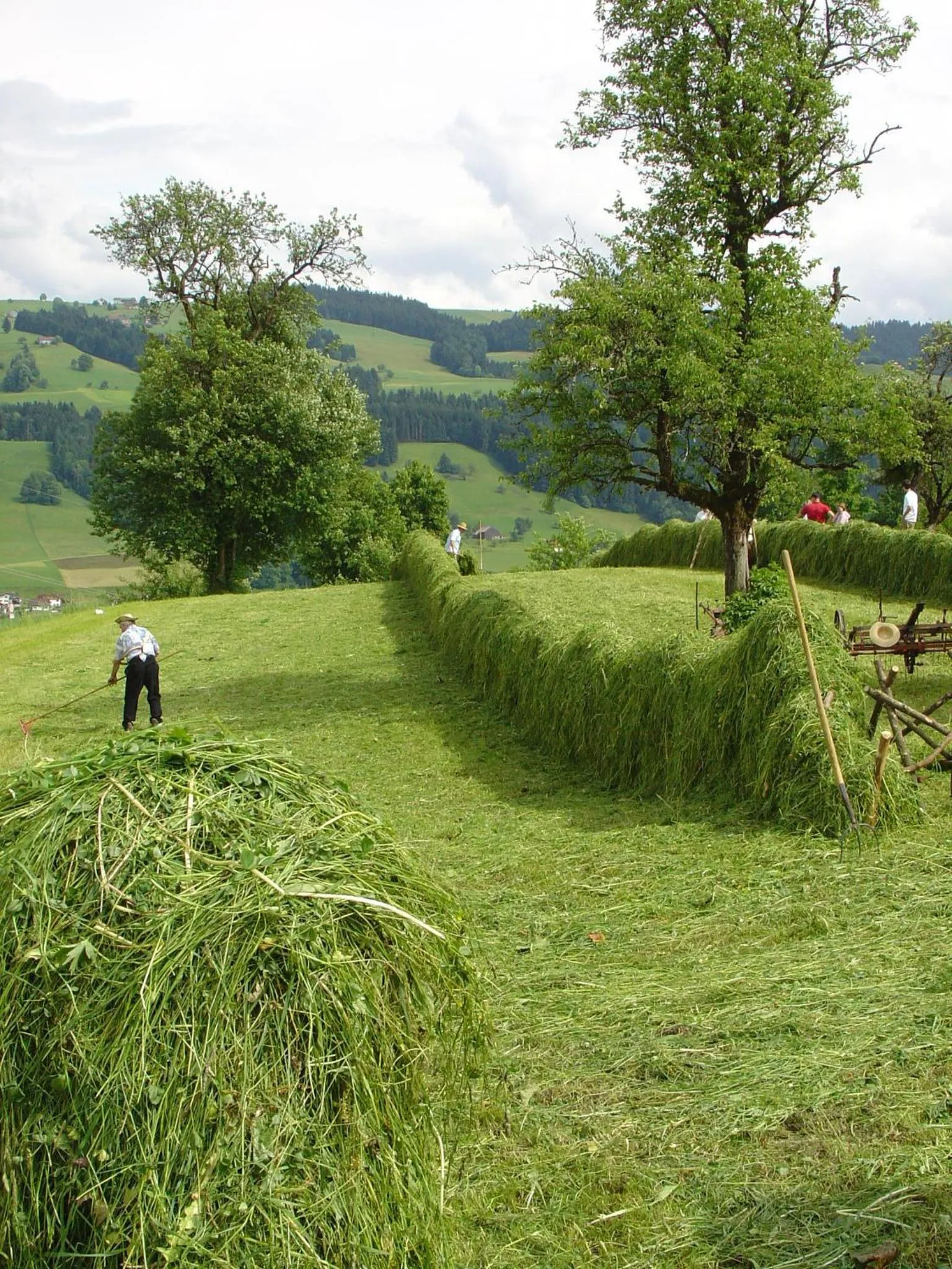 Area and facilities in Landhotel Herzberger garni Zimmer & Ferienwohnungen