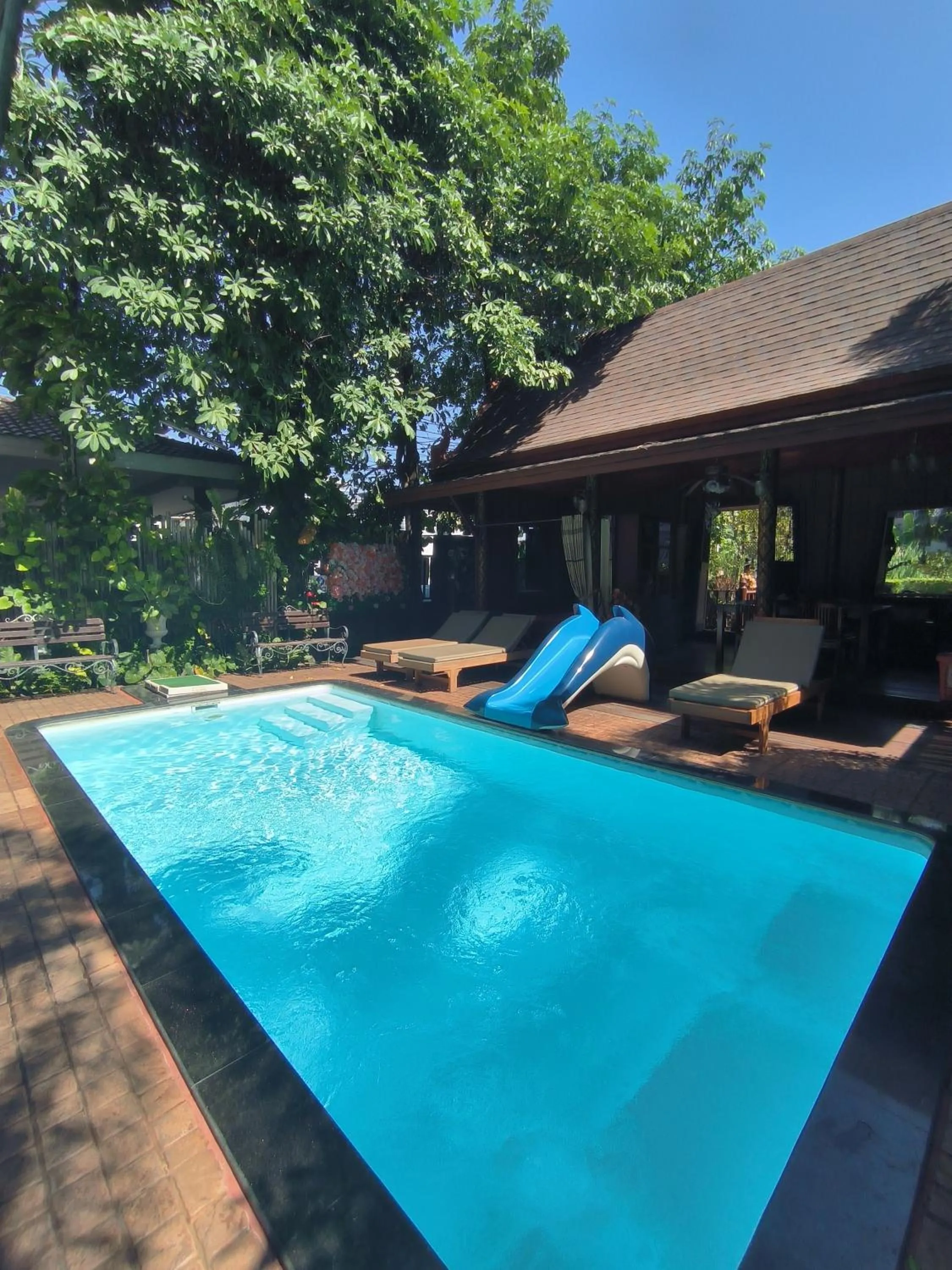 Swimming pool in Orchid Resort