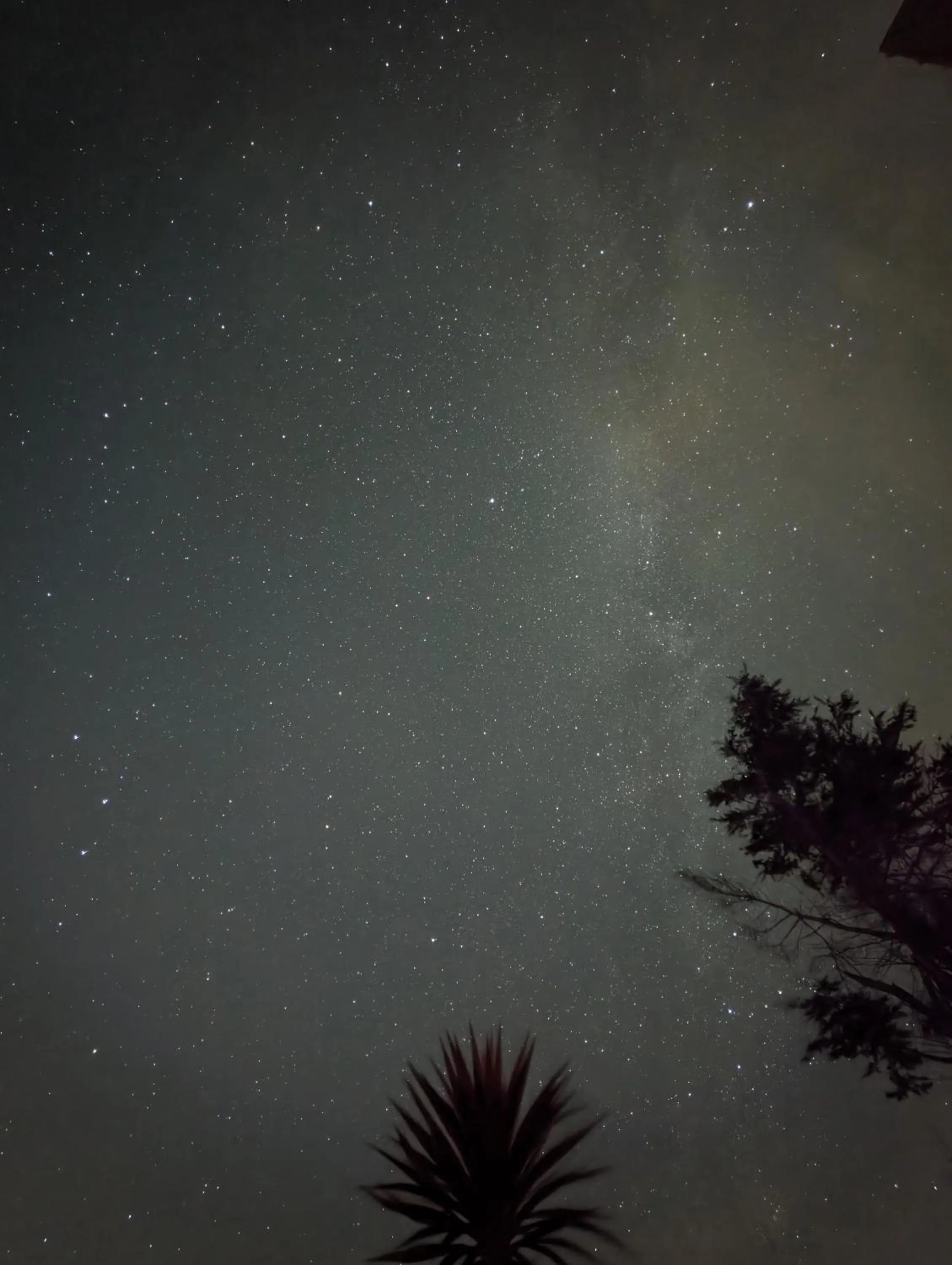La Tour du Bois Dormant