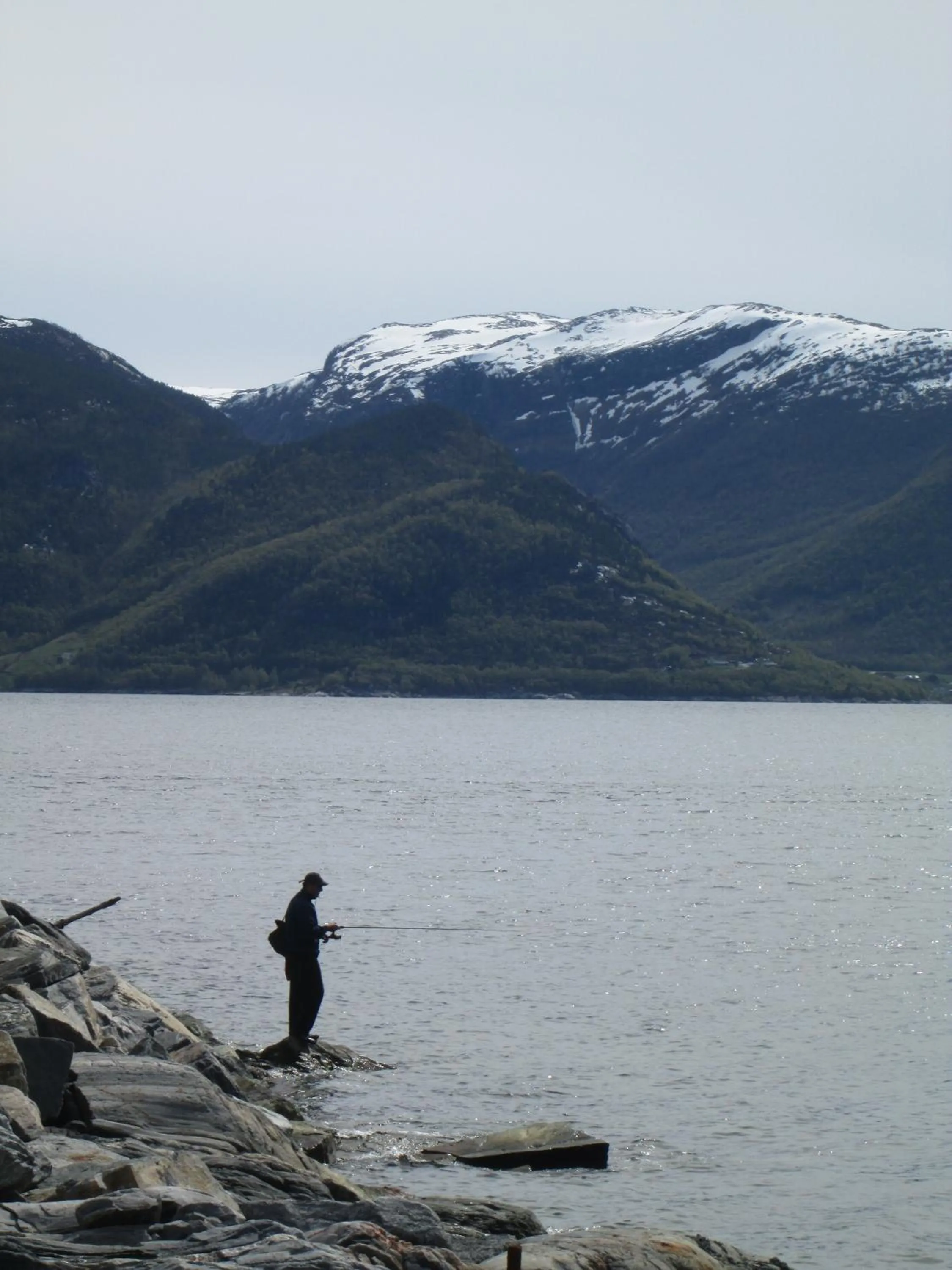 Fishing in Lavik Fjord Hotel & Apartments