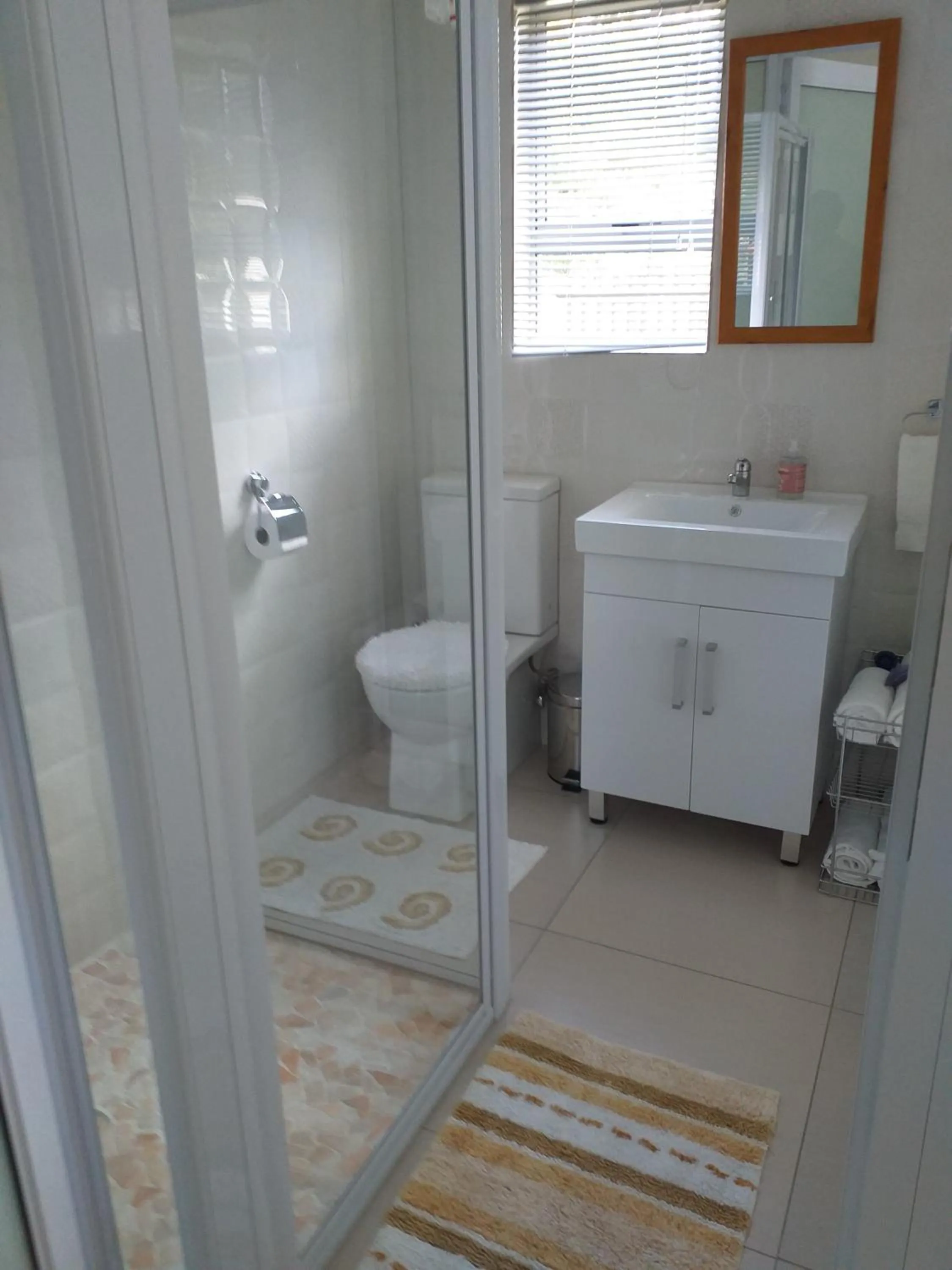 Toilet in Kwa-Dlamathe Guesthouse