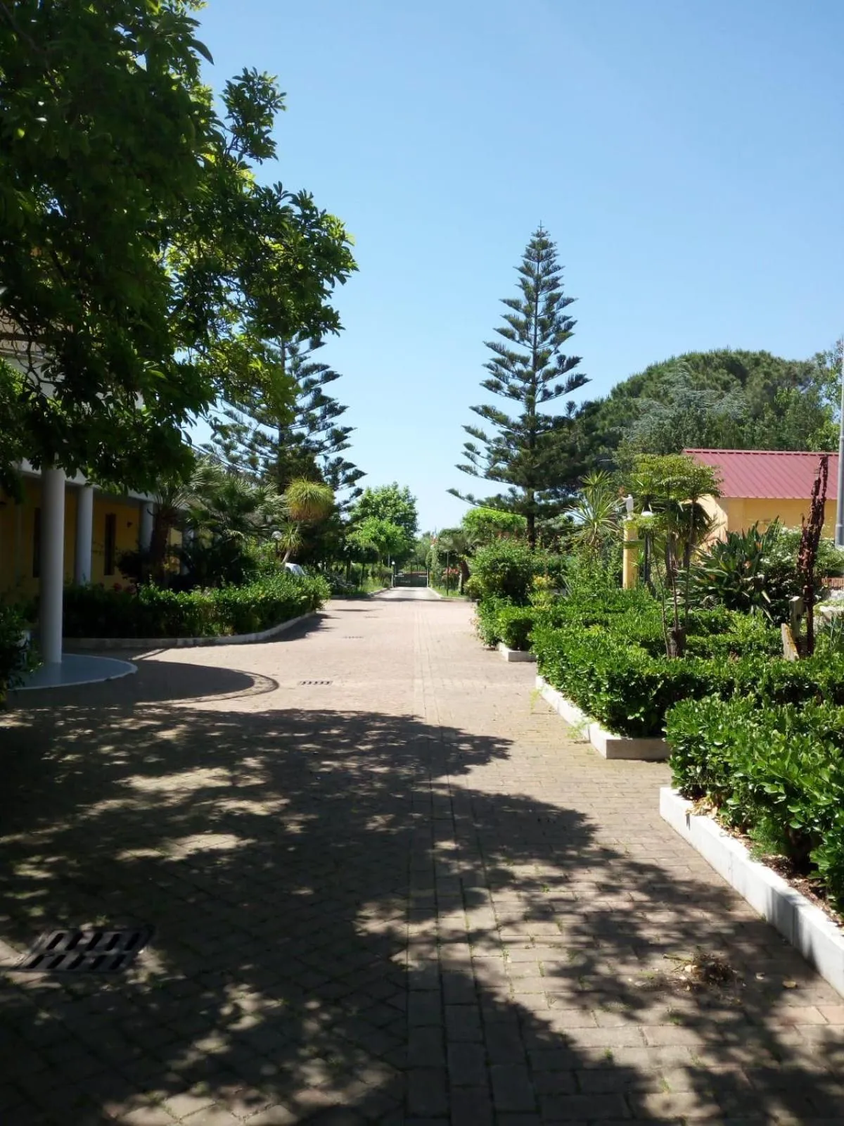Garden view in Hotel Mercede 2