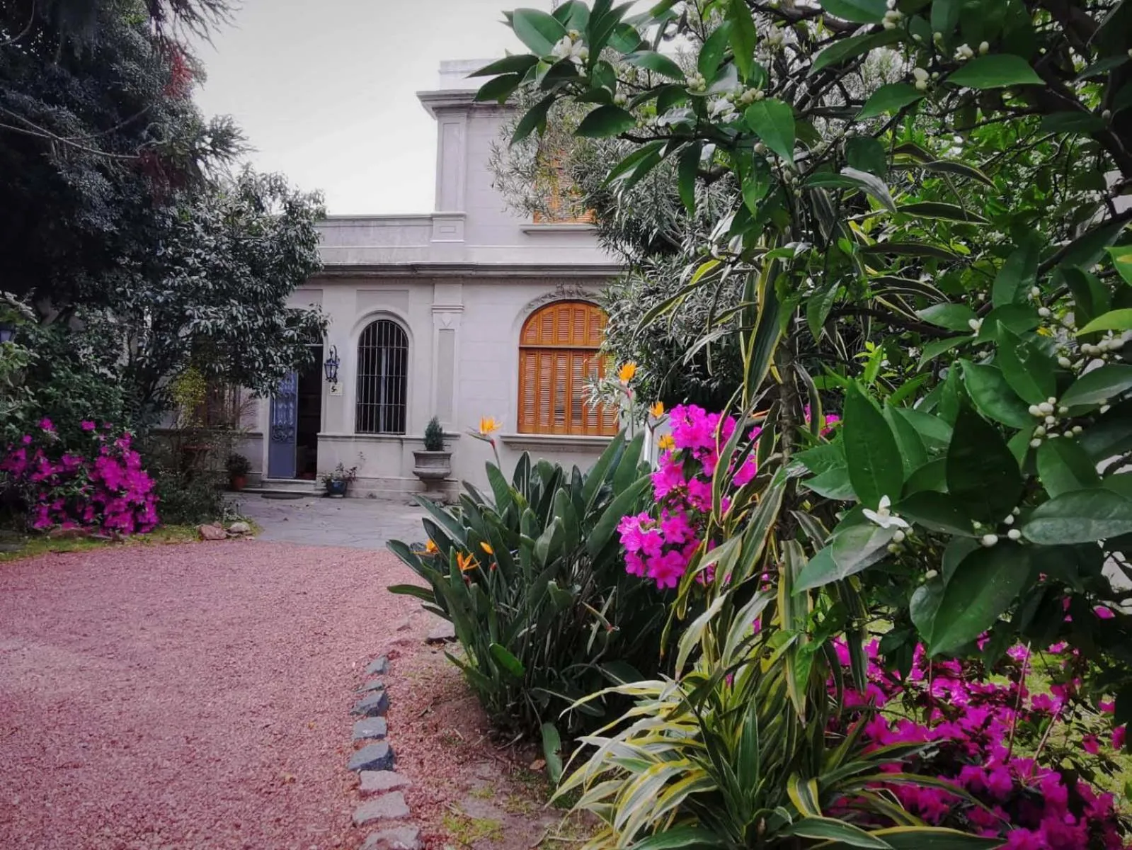 Property building in Cane B&B