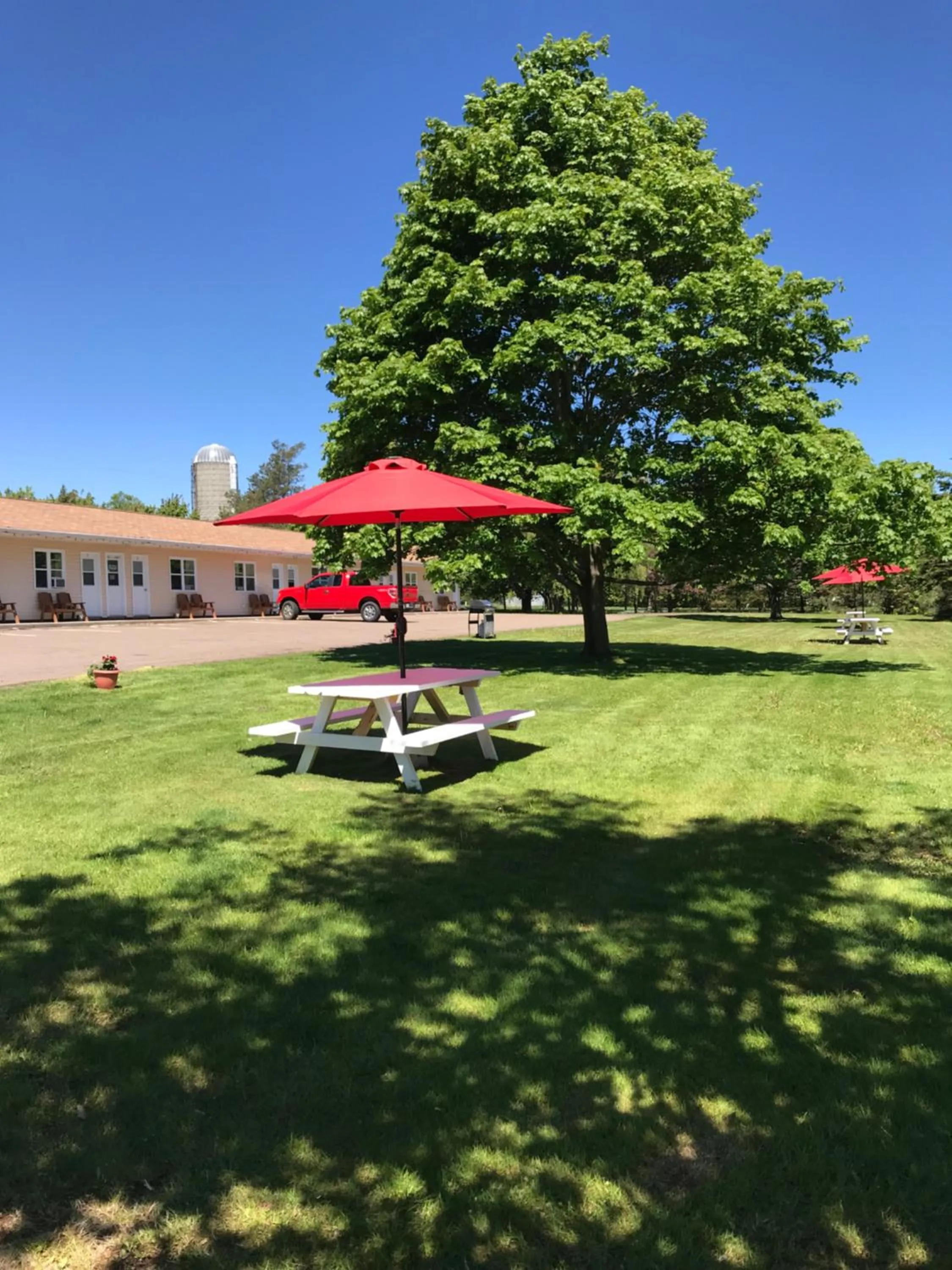 Garden view in Fair Isle Motel