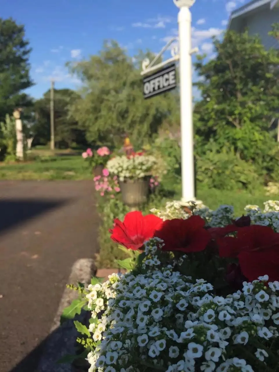 Garden view in Fair Isle Motel