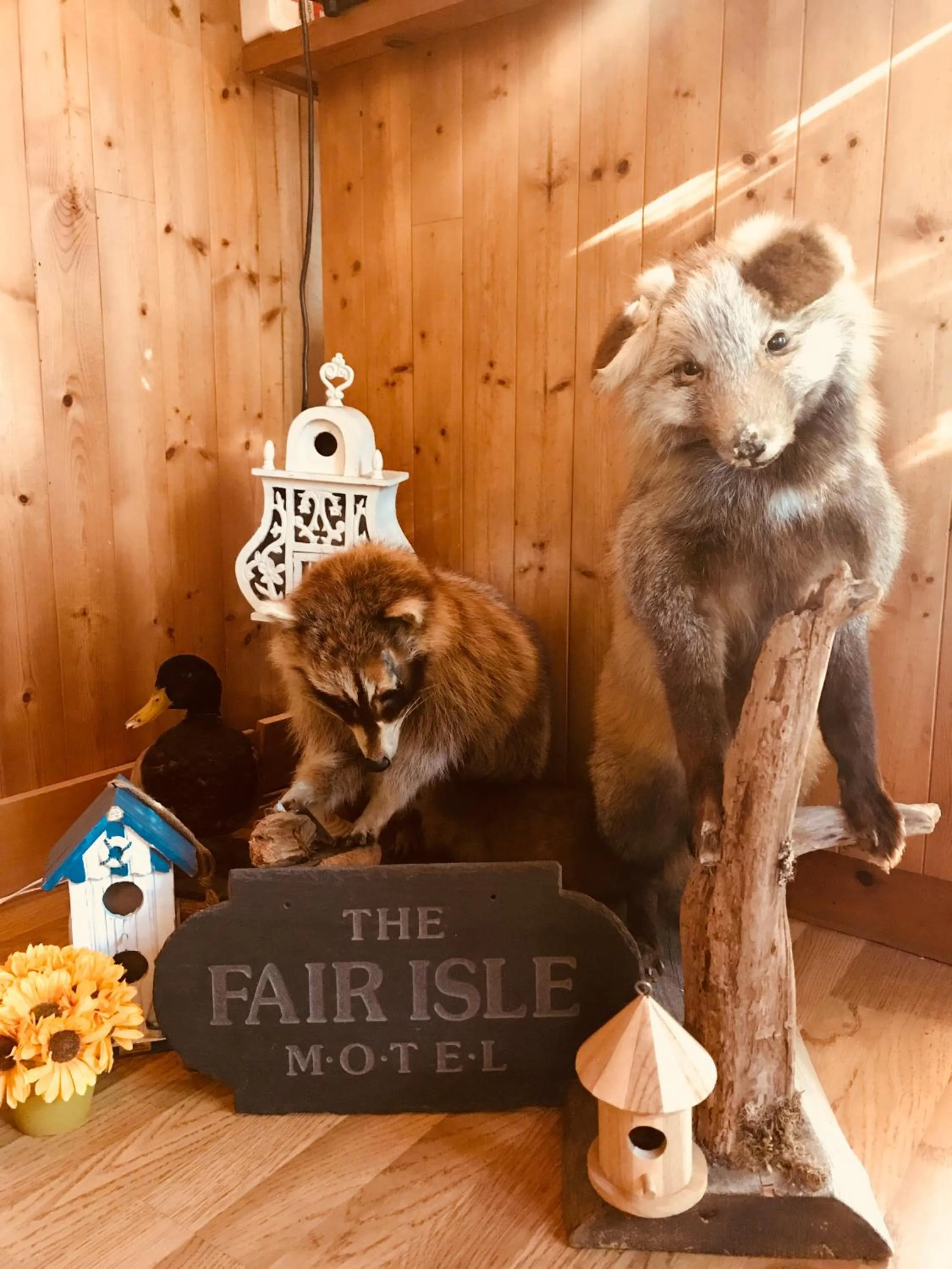 Lobby or reception in Fair Isle Motel